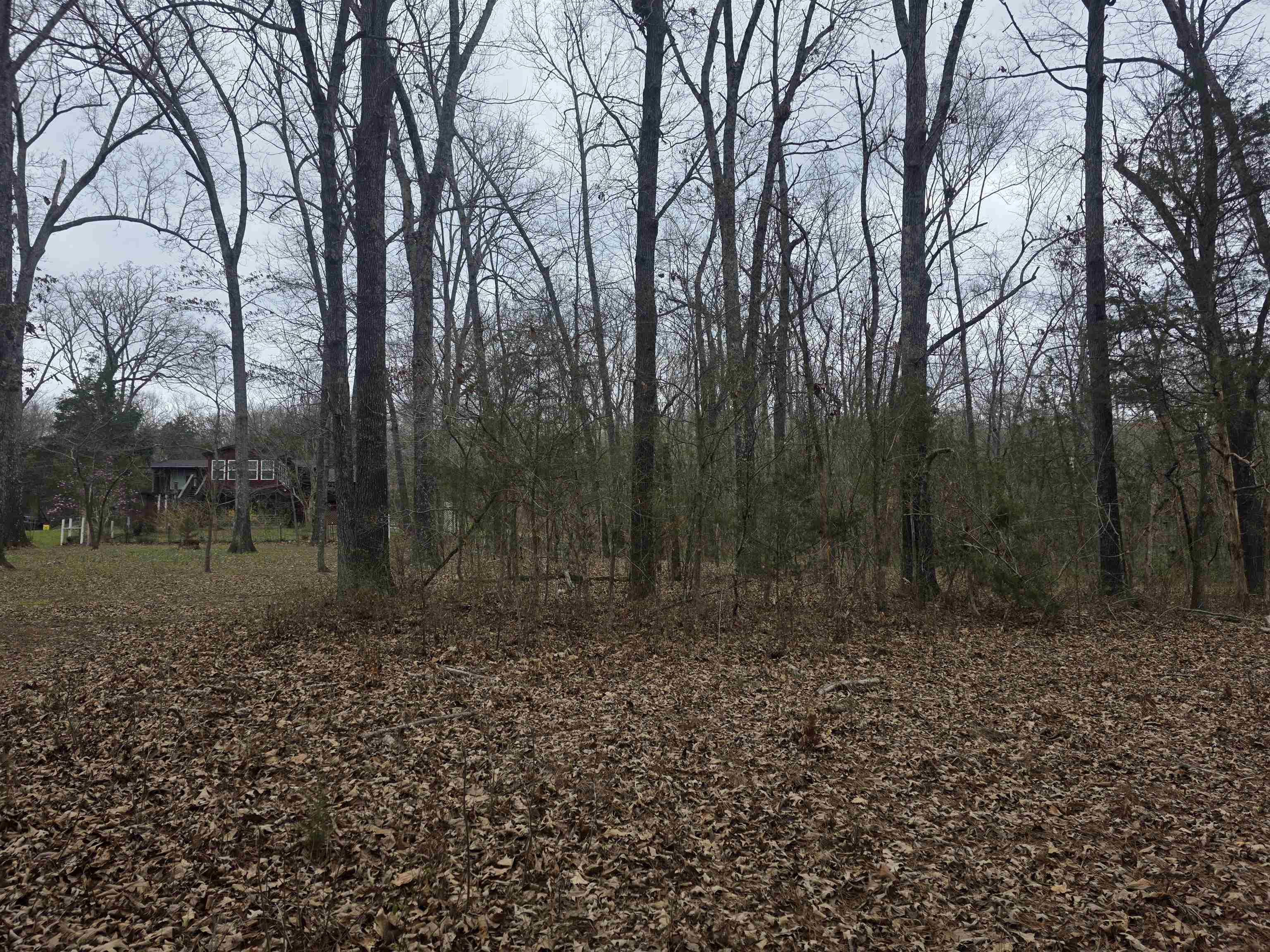 L33 B2 Cherokee Road Property Photo 15
