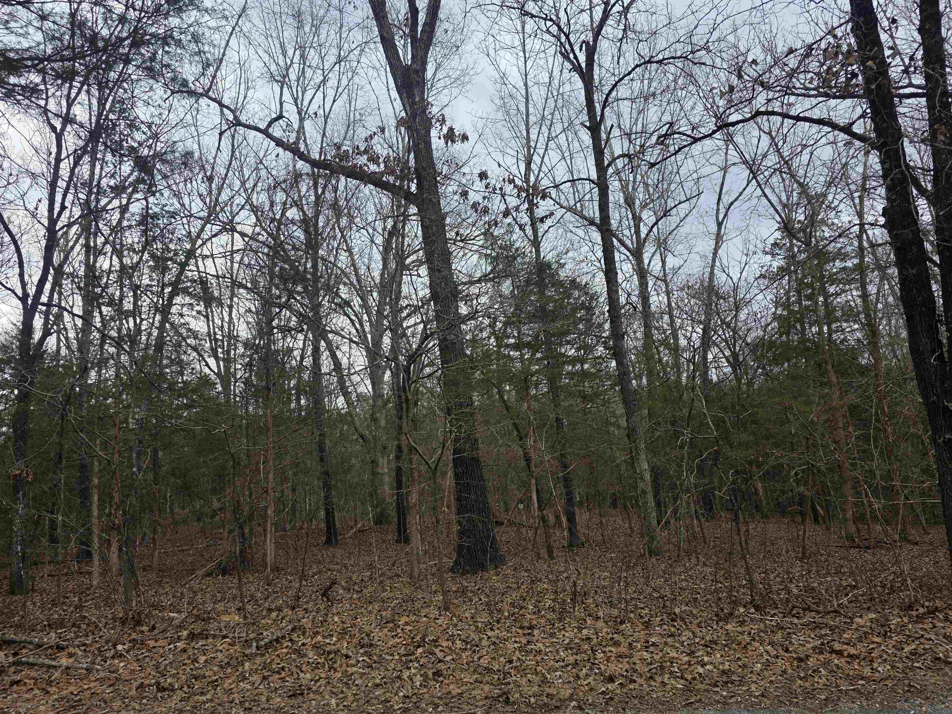 23 Lots Cherokee Village & Ozark Acres Property Photo 7