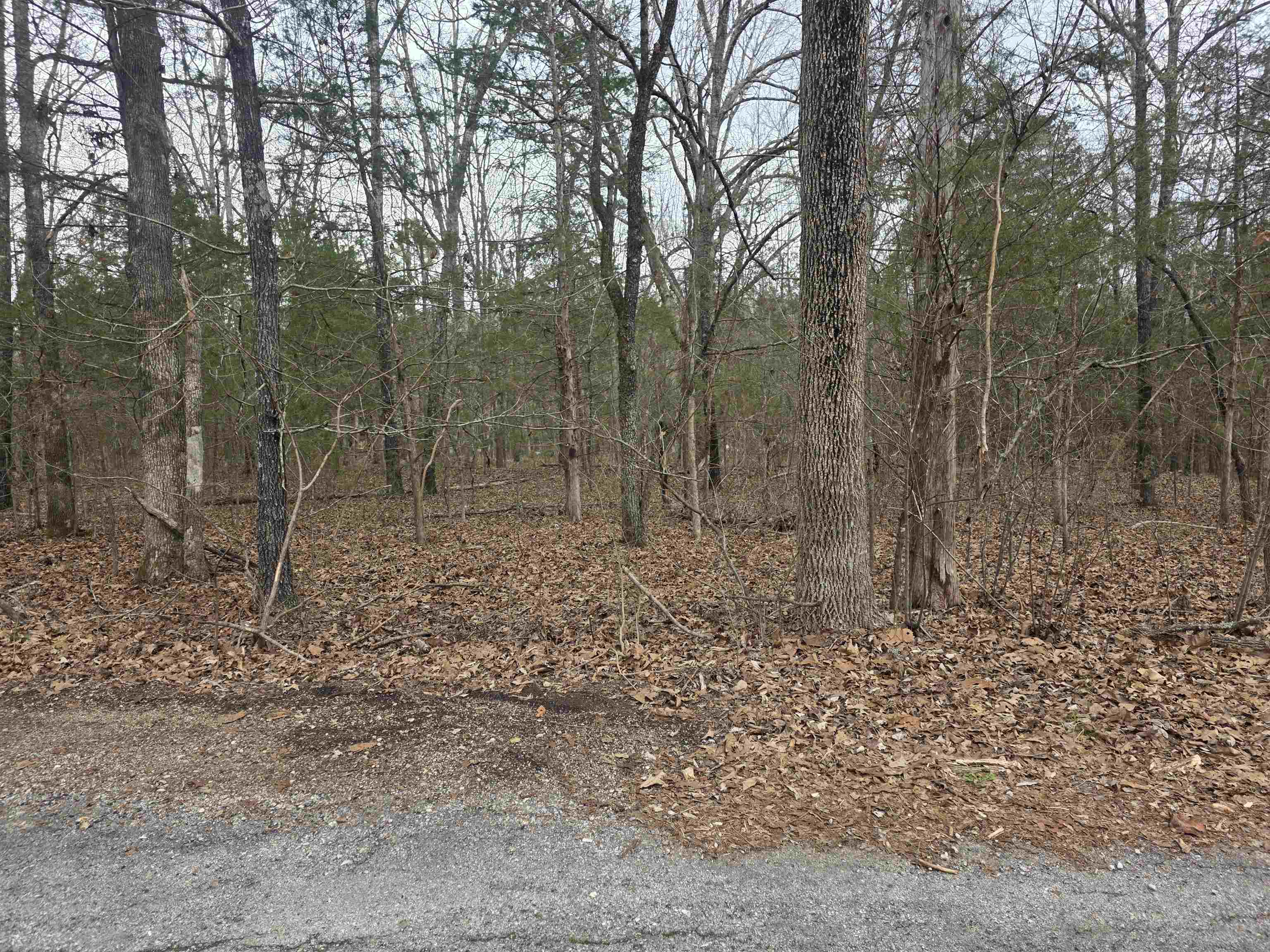 23 Lots Cherokee Village & Ozark Acres Property Photo 8