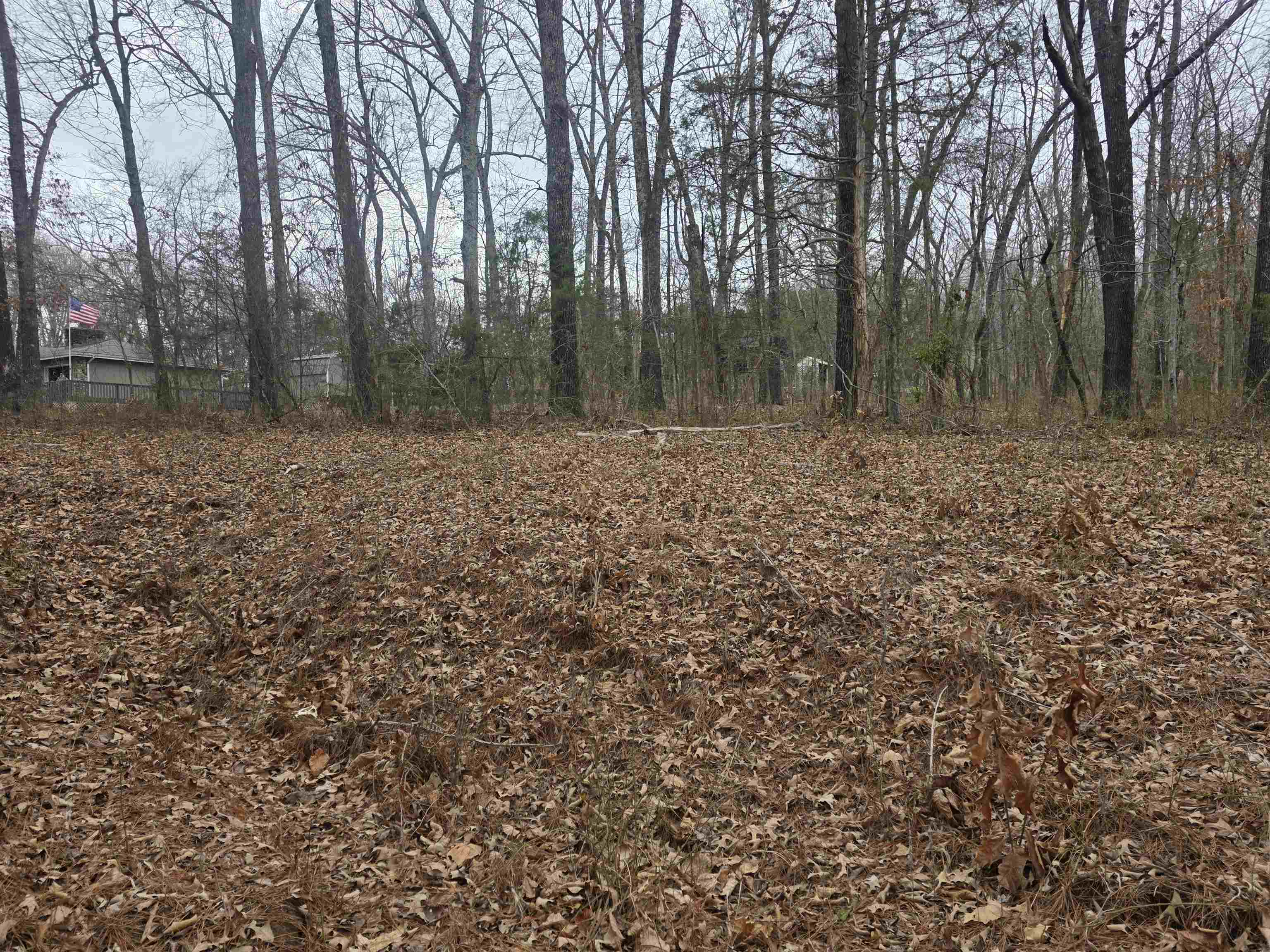 23 Lots Cherokee Village & Ozark Acres Property Photo 10