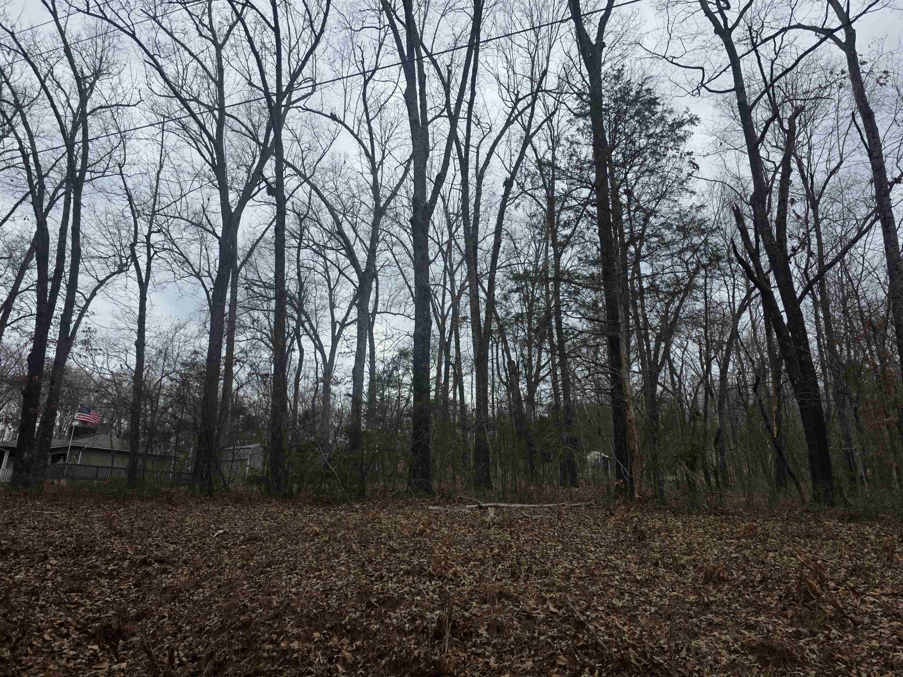23 Lots Cherokee Village & Ozark Acres Property Photo 12
