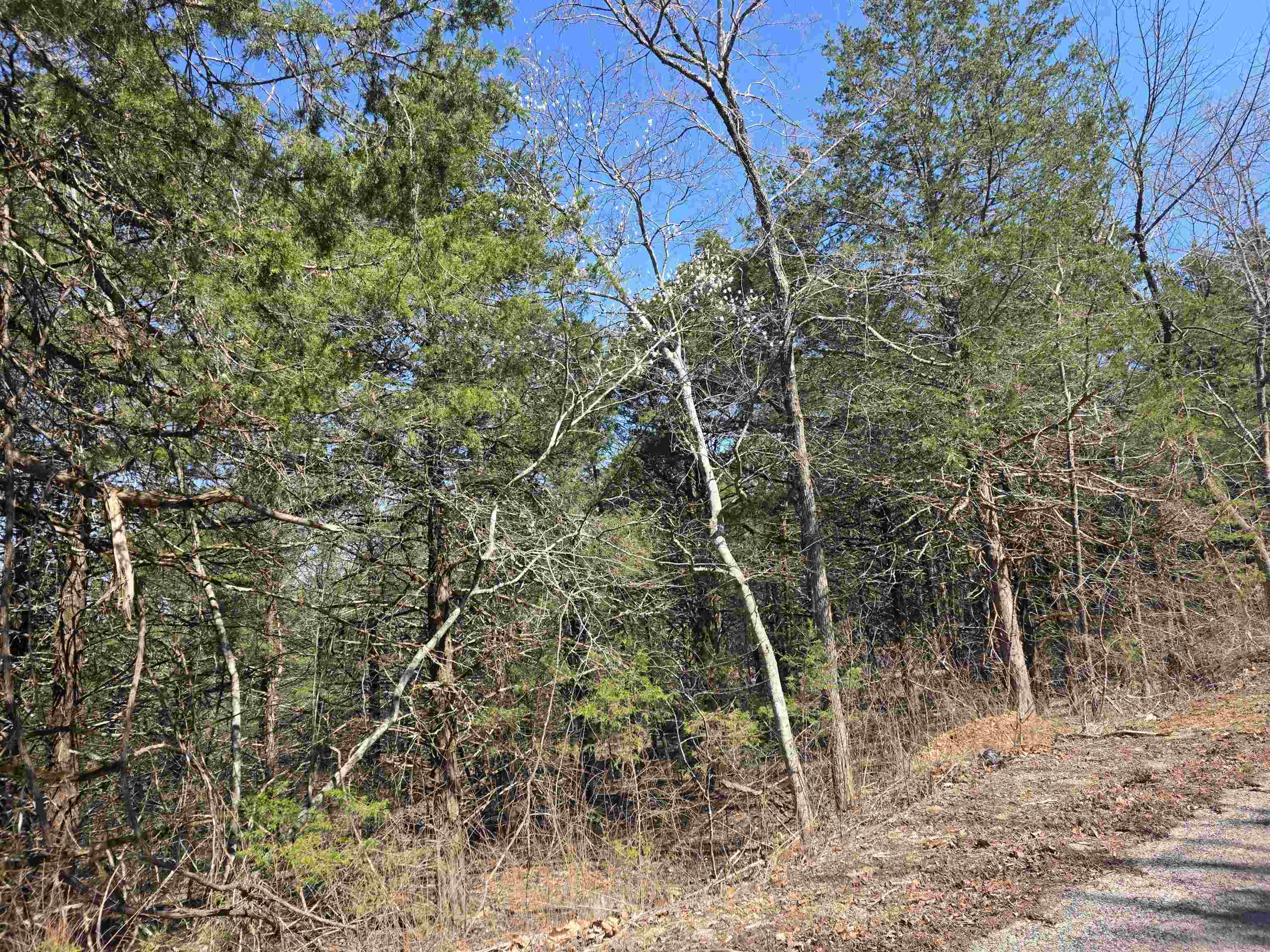 23 Lots Cherokee Village & Ozark Acres Property Photo 16