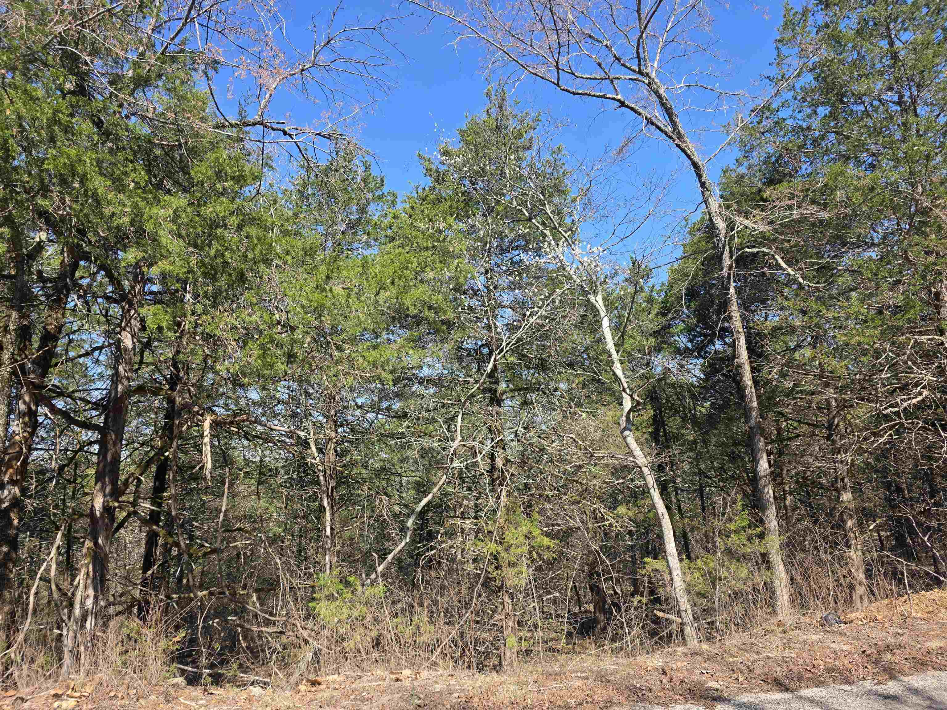23 Lots Cherokee Village & Ozark Acres Property Photo 18