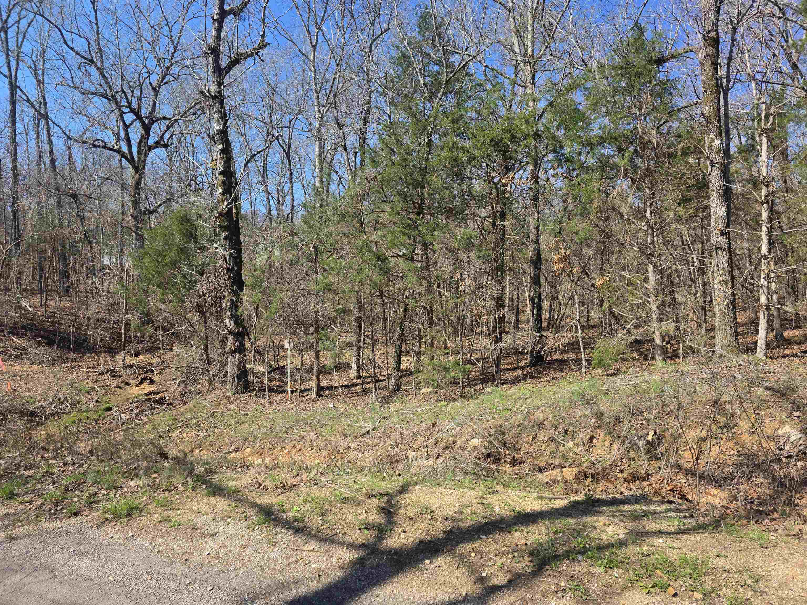 23 Lots Cherokee Village & Ozark Acres Property Photo 19