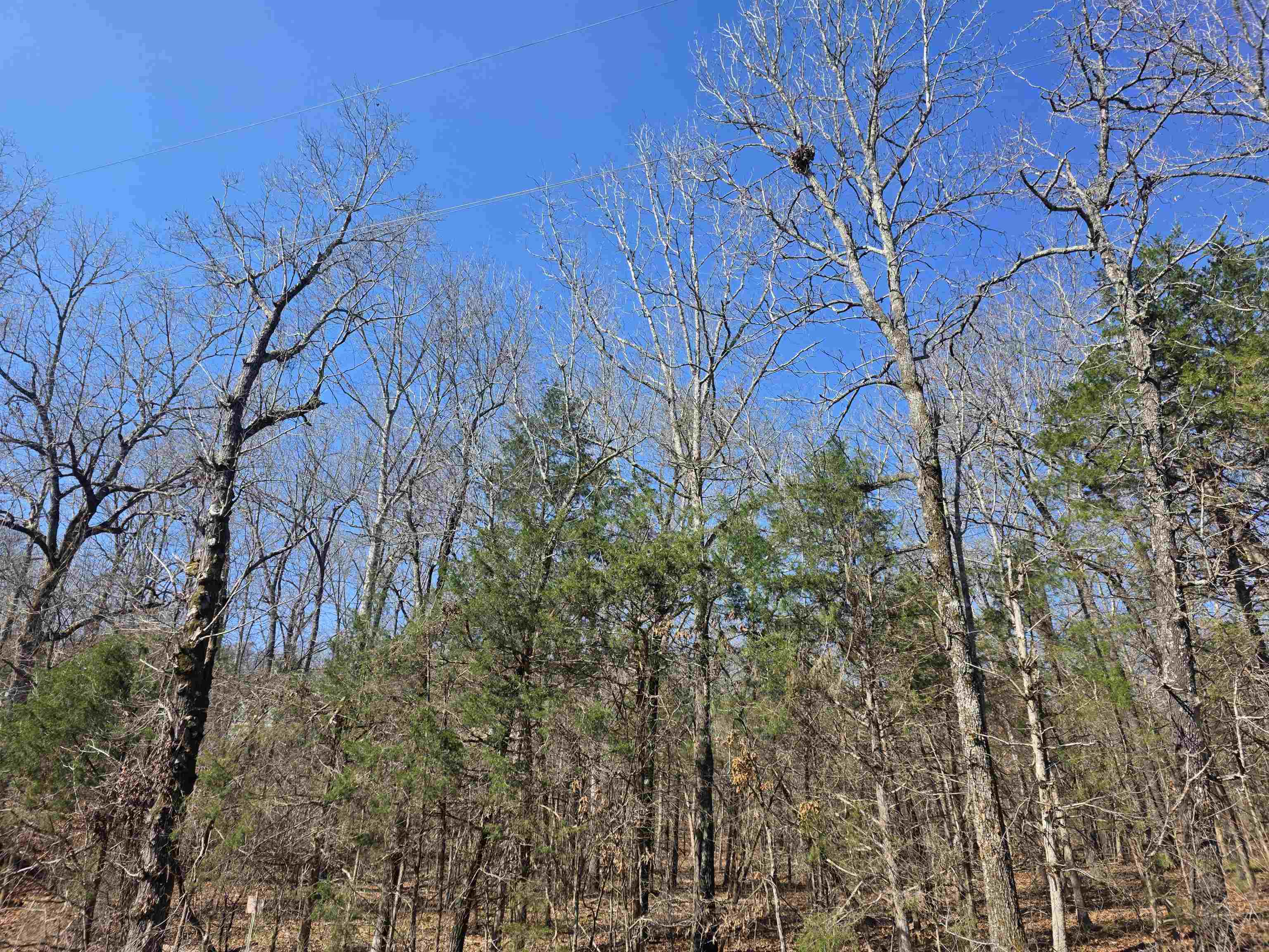 23 Lots Cherokee Village & Ozark Acres Property Photo 20