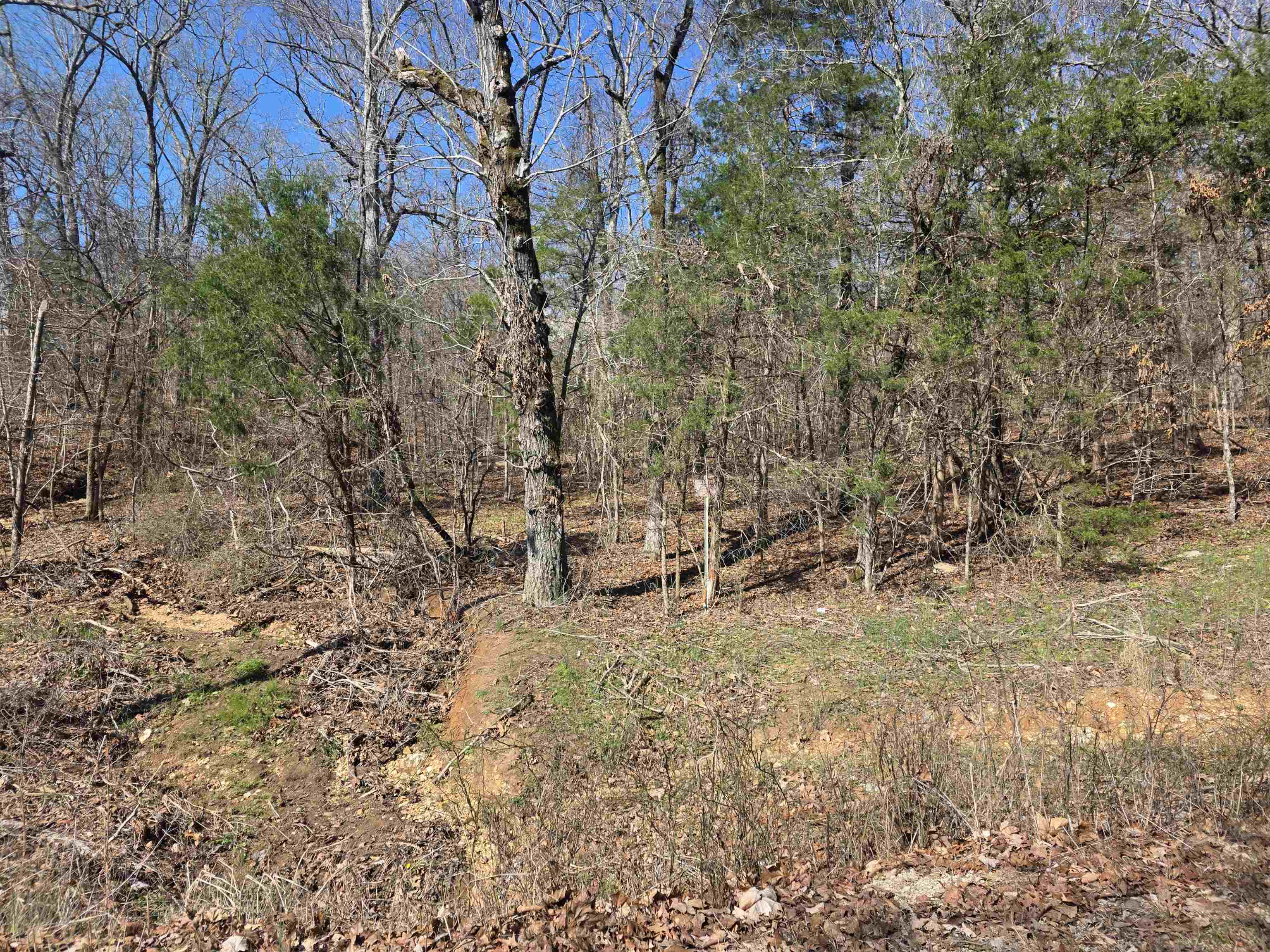 23 Lots Cherokee Village & Ozark Acres Property Photo 21