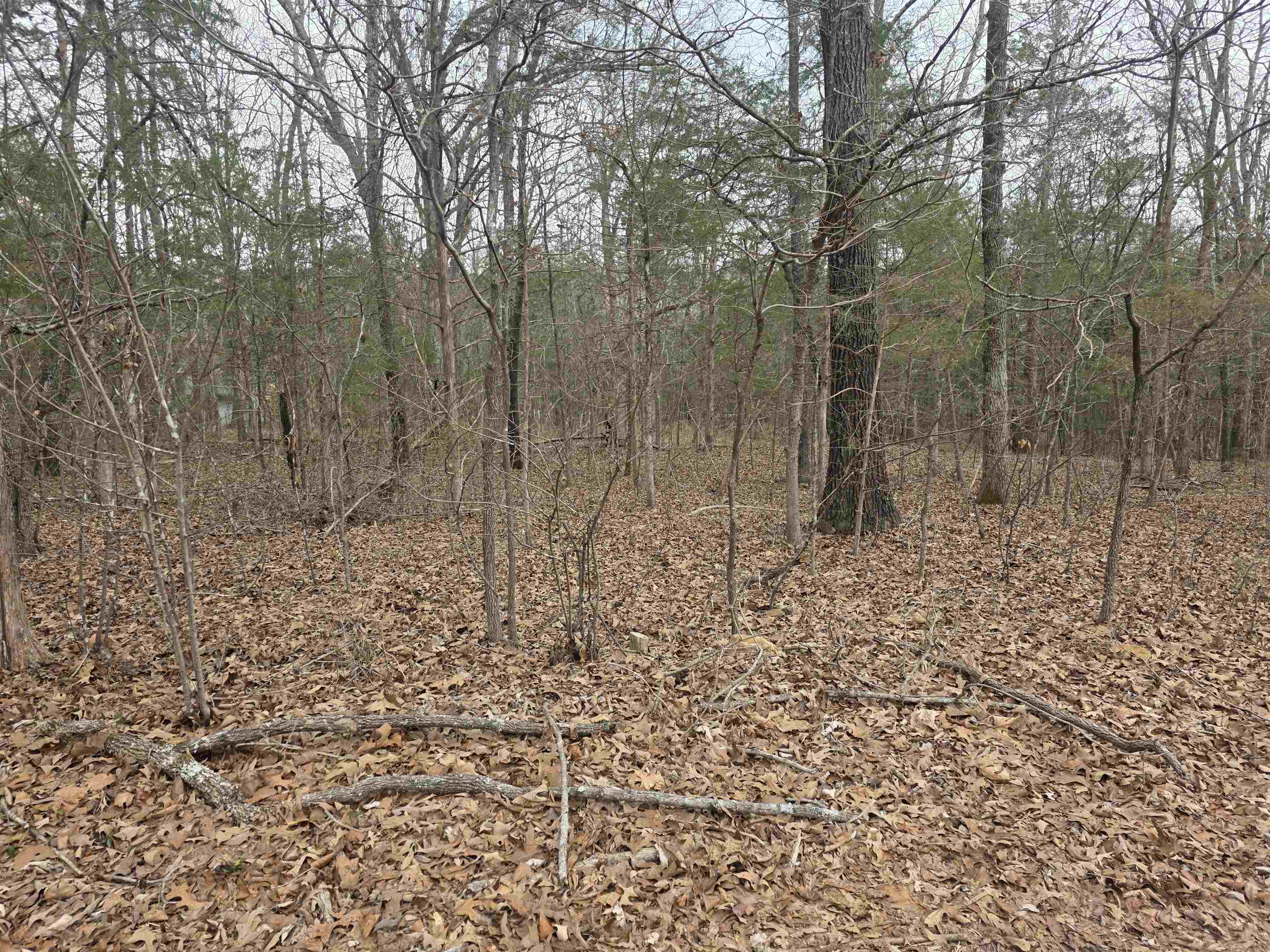 23 Lots Cherokee Village & Ozark Acres Property Photo 25