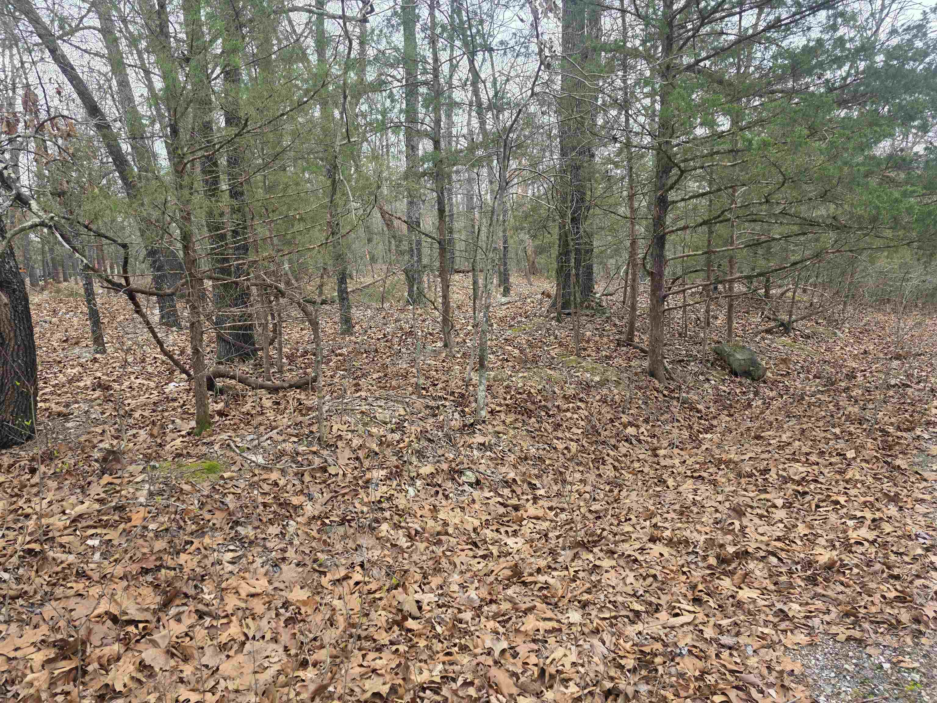 23 Lots Cherokee Village & Ozark Acres Property Photo 33