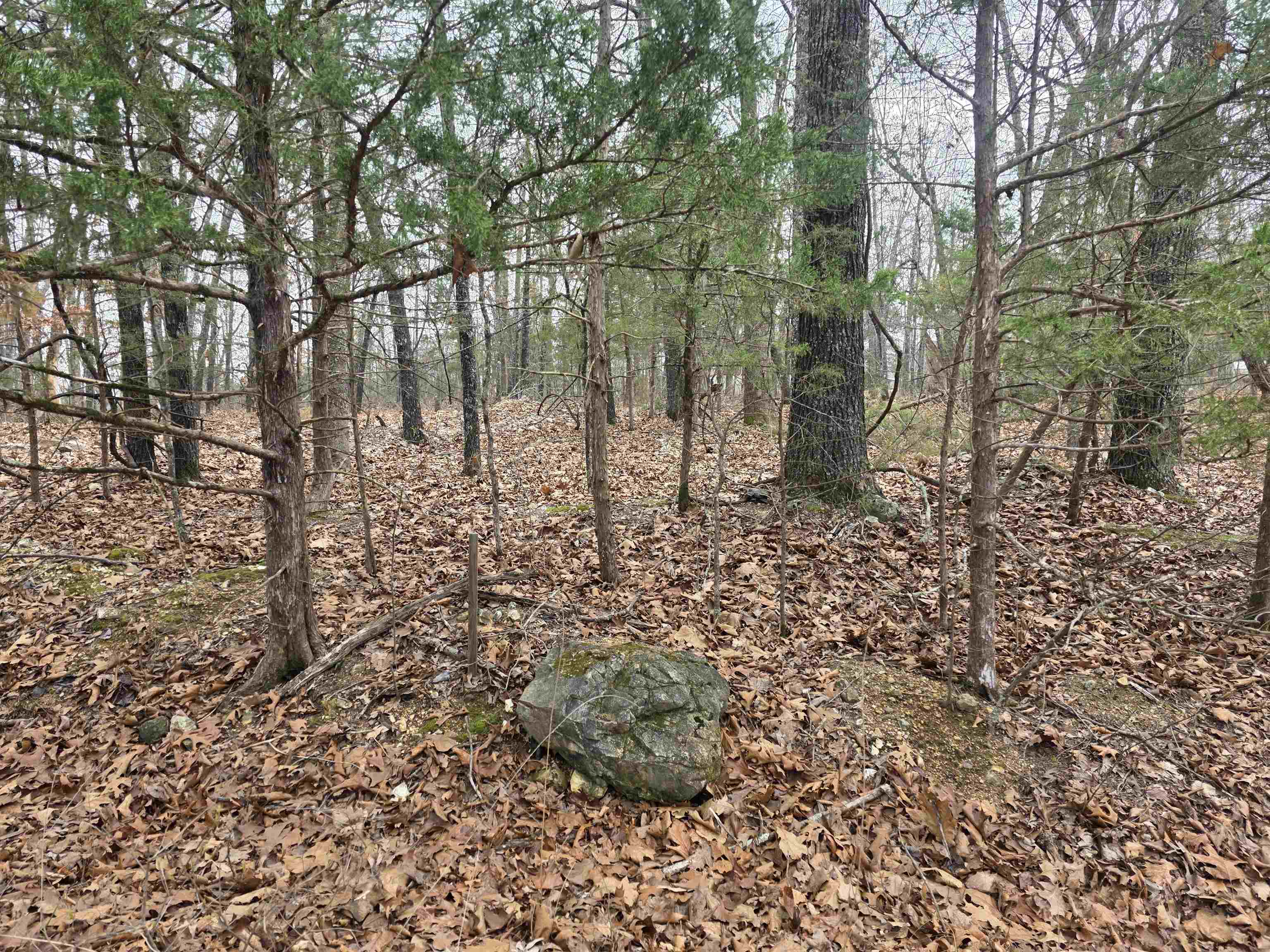 23 Lots Cherokee Village & Ozark Acres Property Photo 34