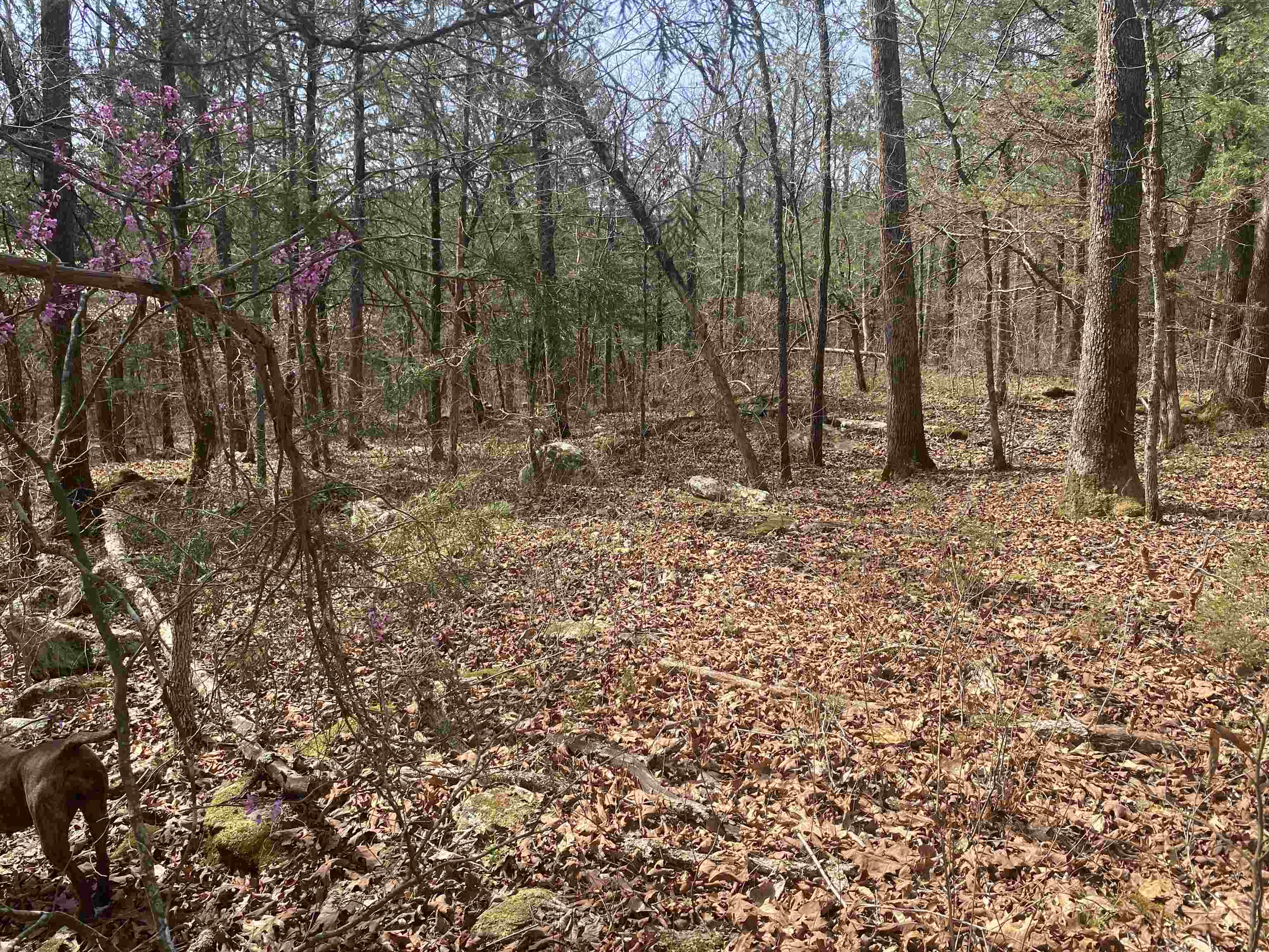 001 N Boswell Road Property Photo 18