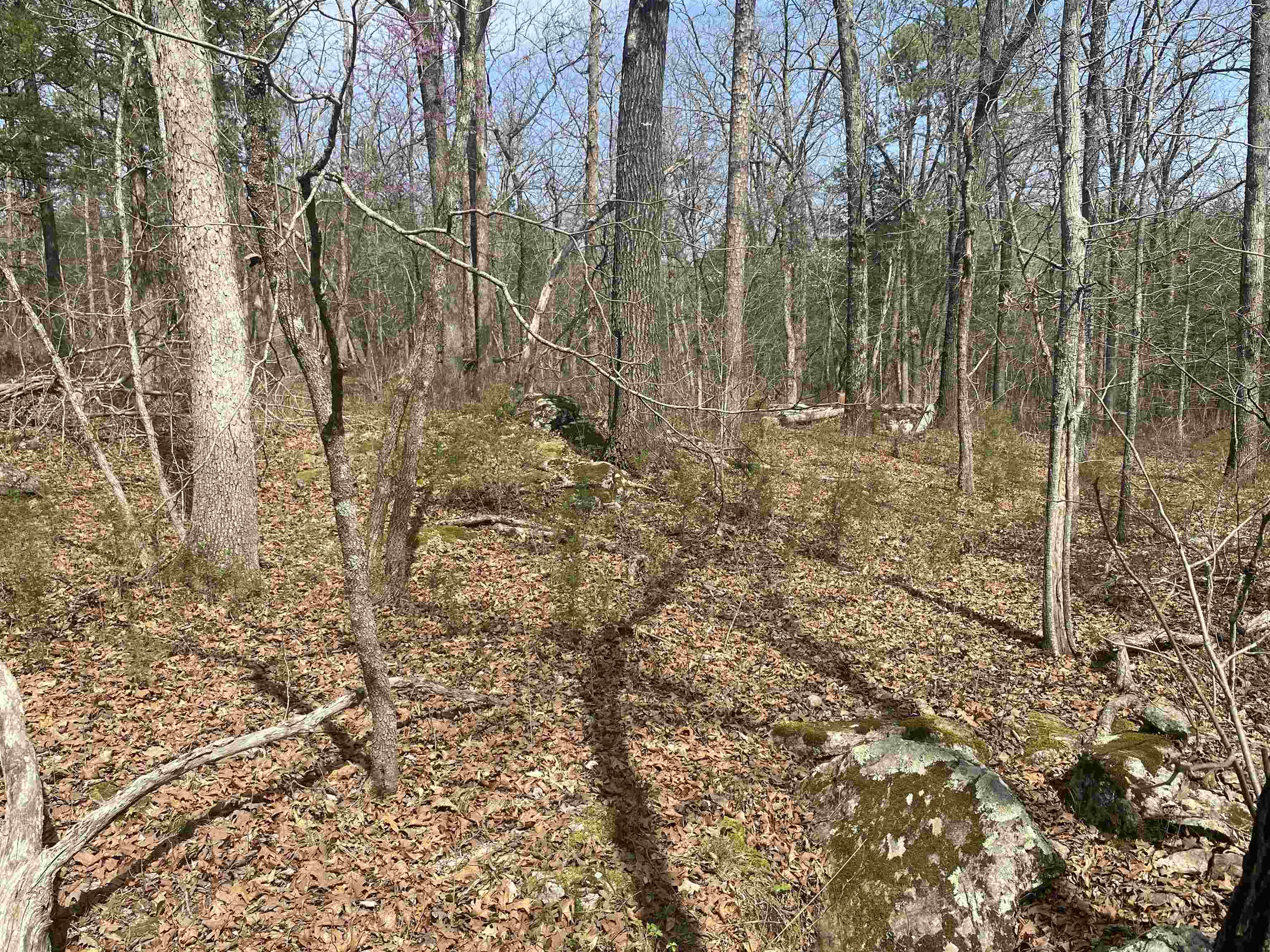 001 N Boswell Road Property Photo 19