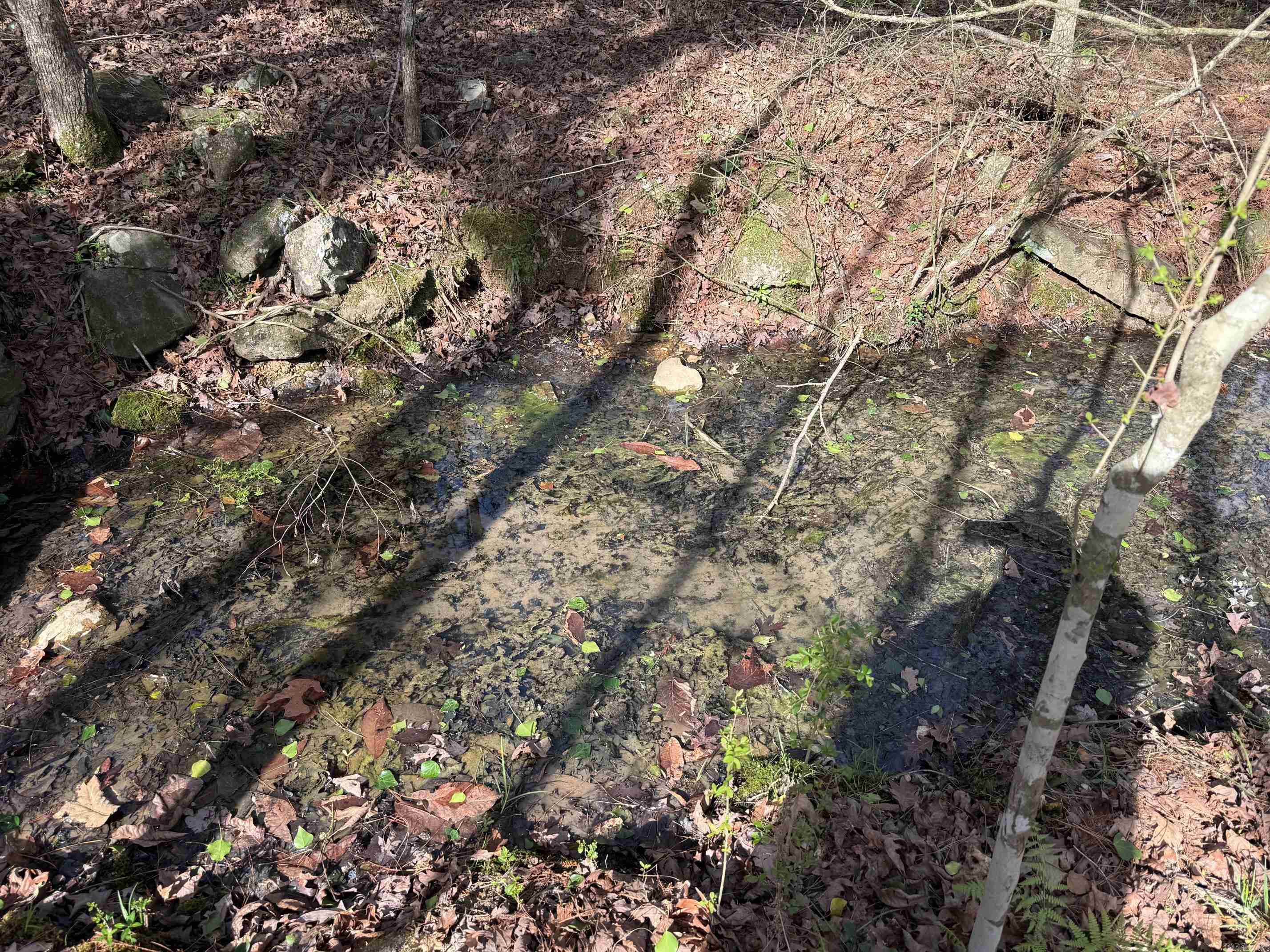 Tbd Polk Road 13 Property Photo 6