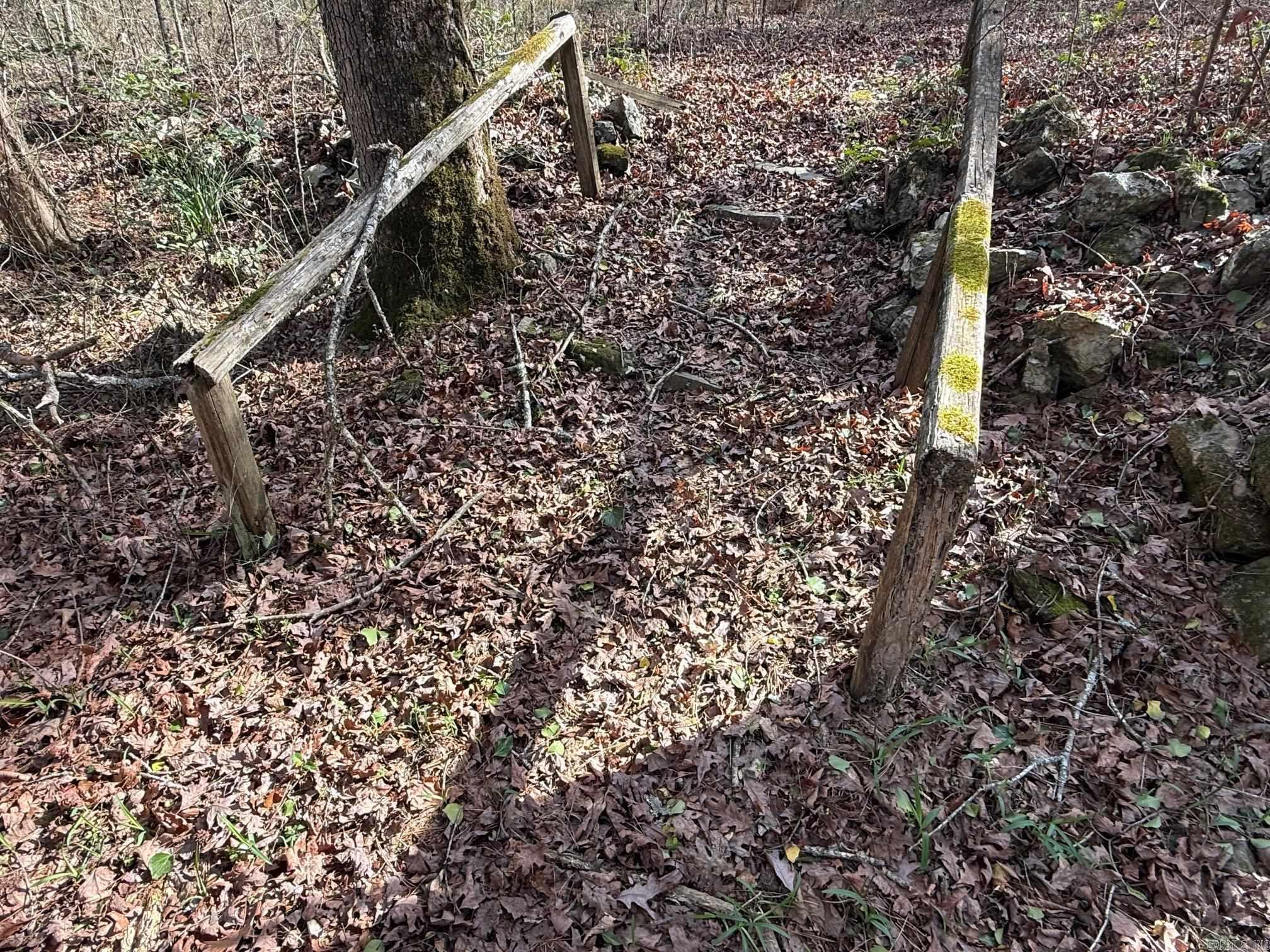 Tbd Polk Road 13 Property Photo 7