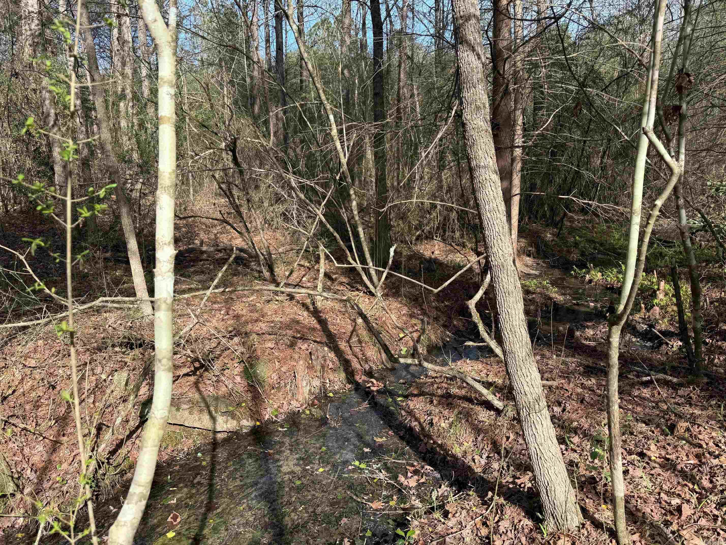 Tbd Polk Road 13 Property Photo 8