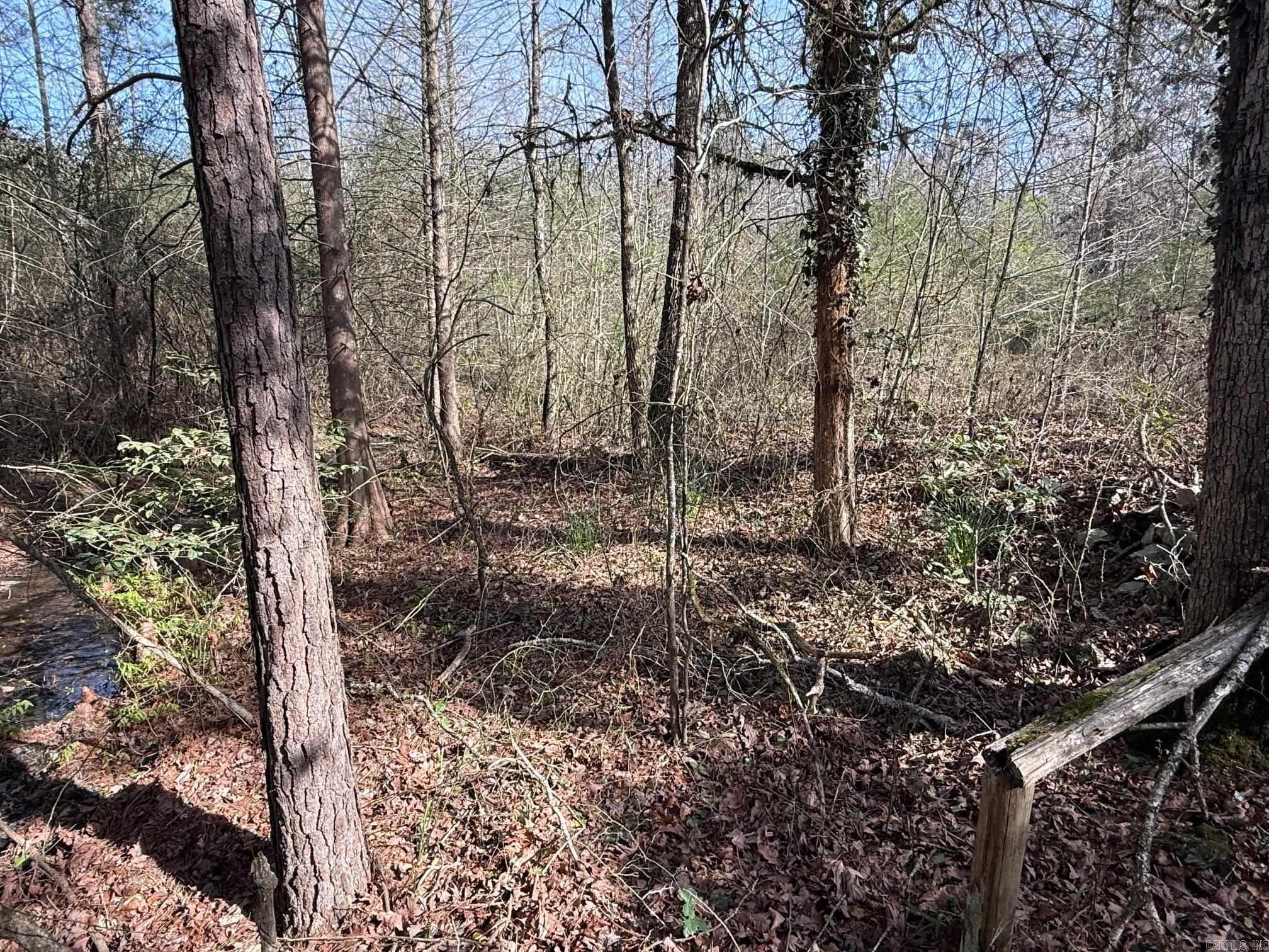 Tbd Polk Road 13 Property Photo 9
