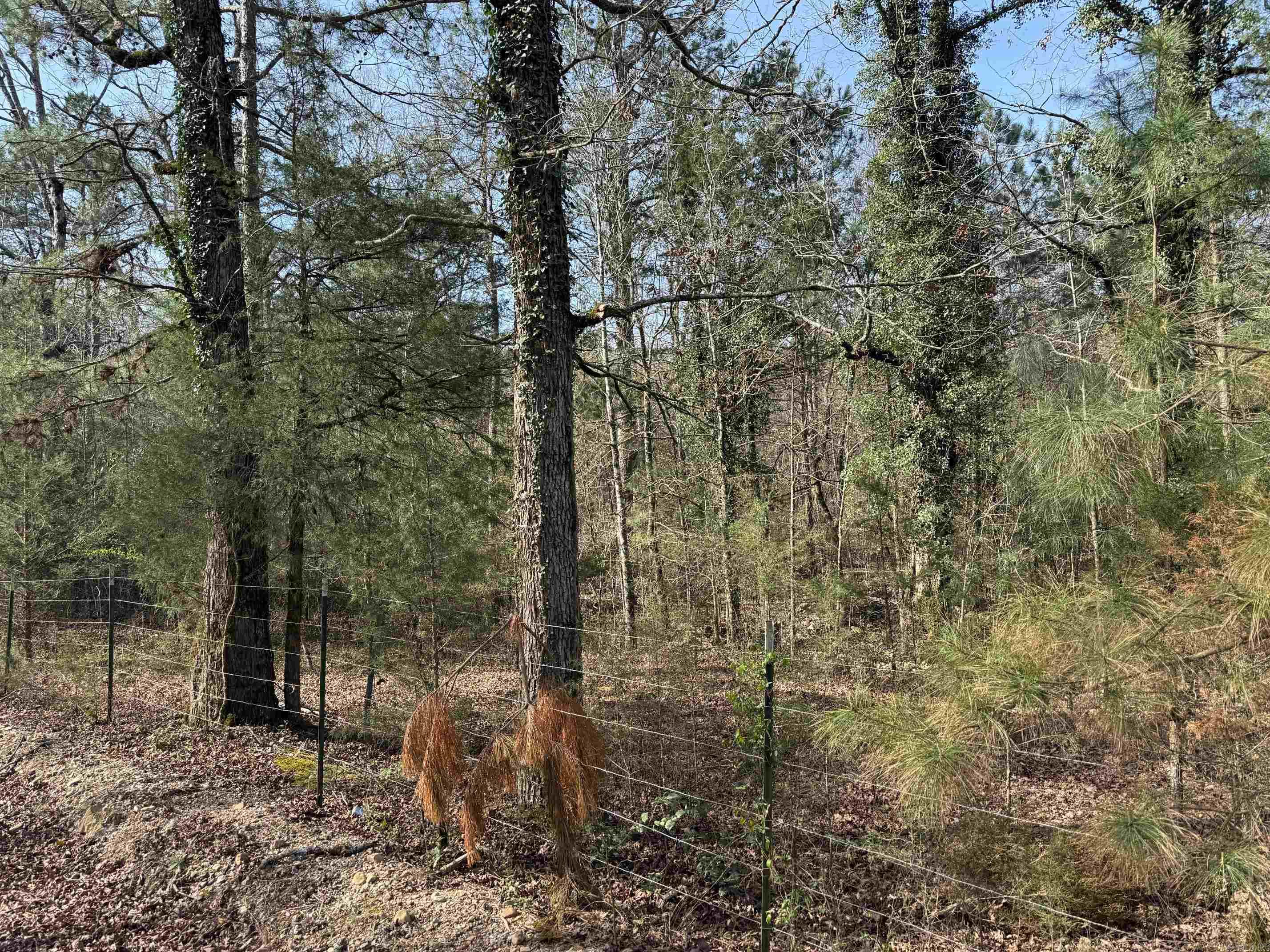 Tbd Polk Road 13 Property Photo 10