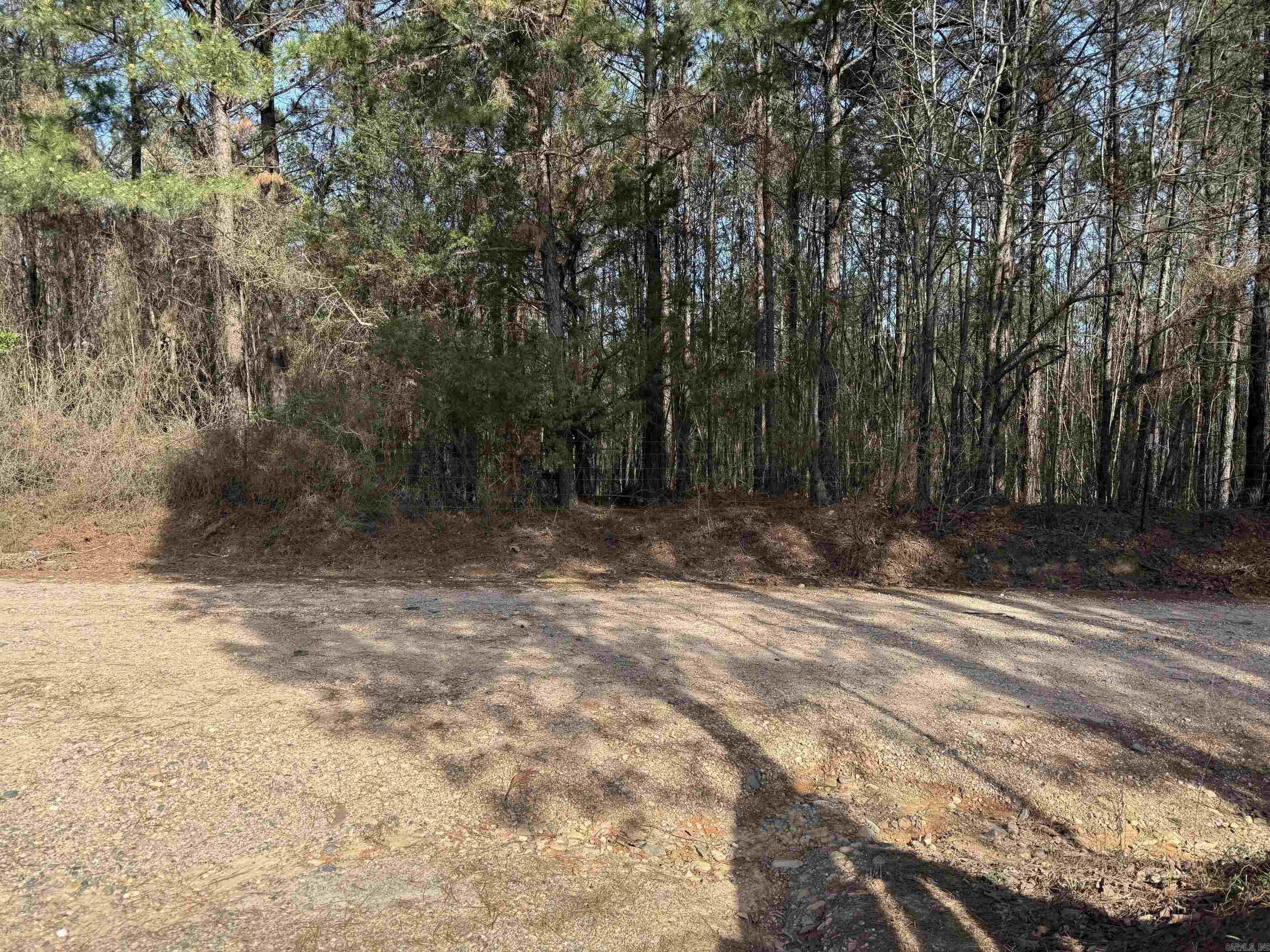 Tbd Polk Road 13 Property Photo 13