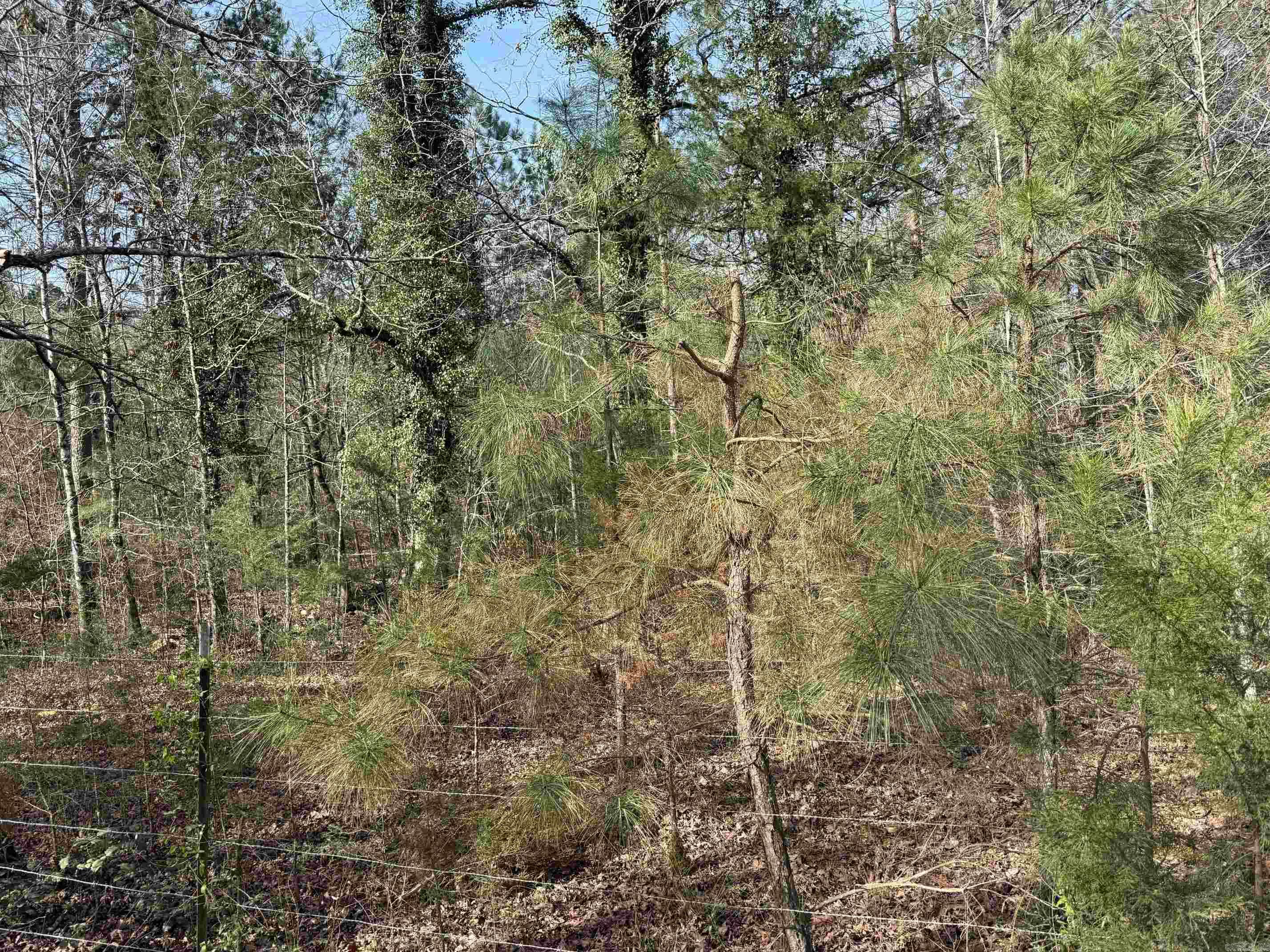 Tbd Polk Road 13 Property Photo 15