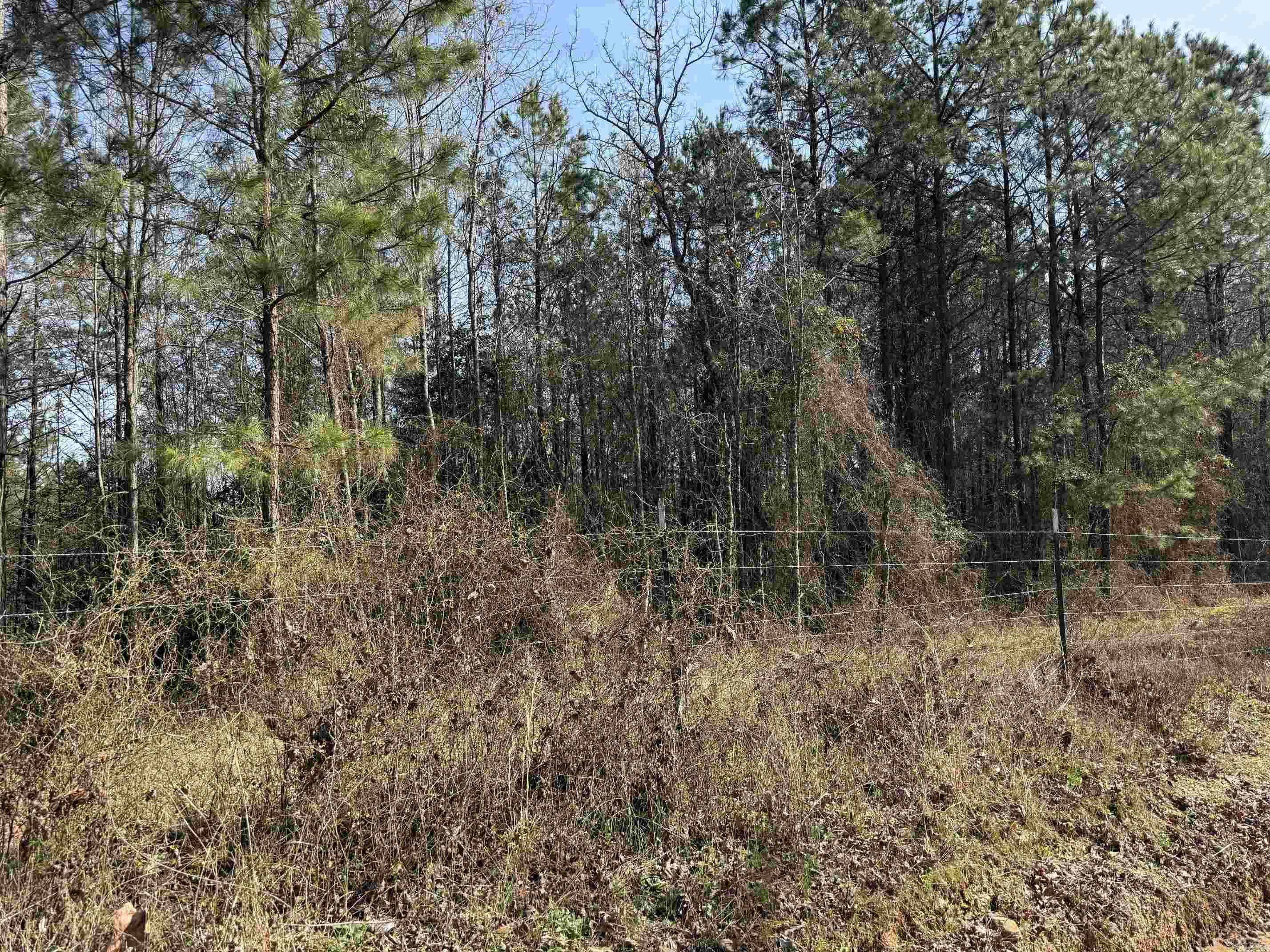 Tbd Polk Road 13 Property Photo 16