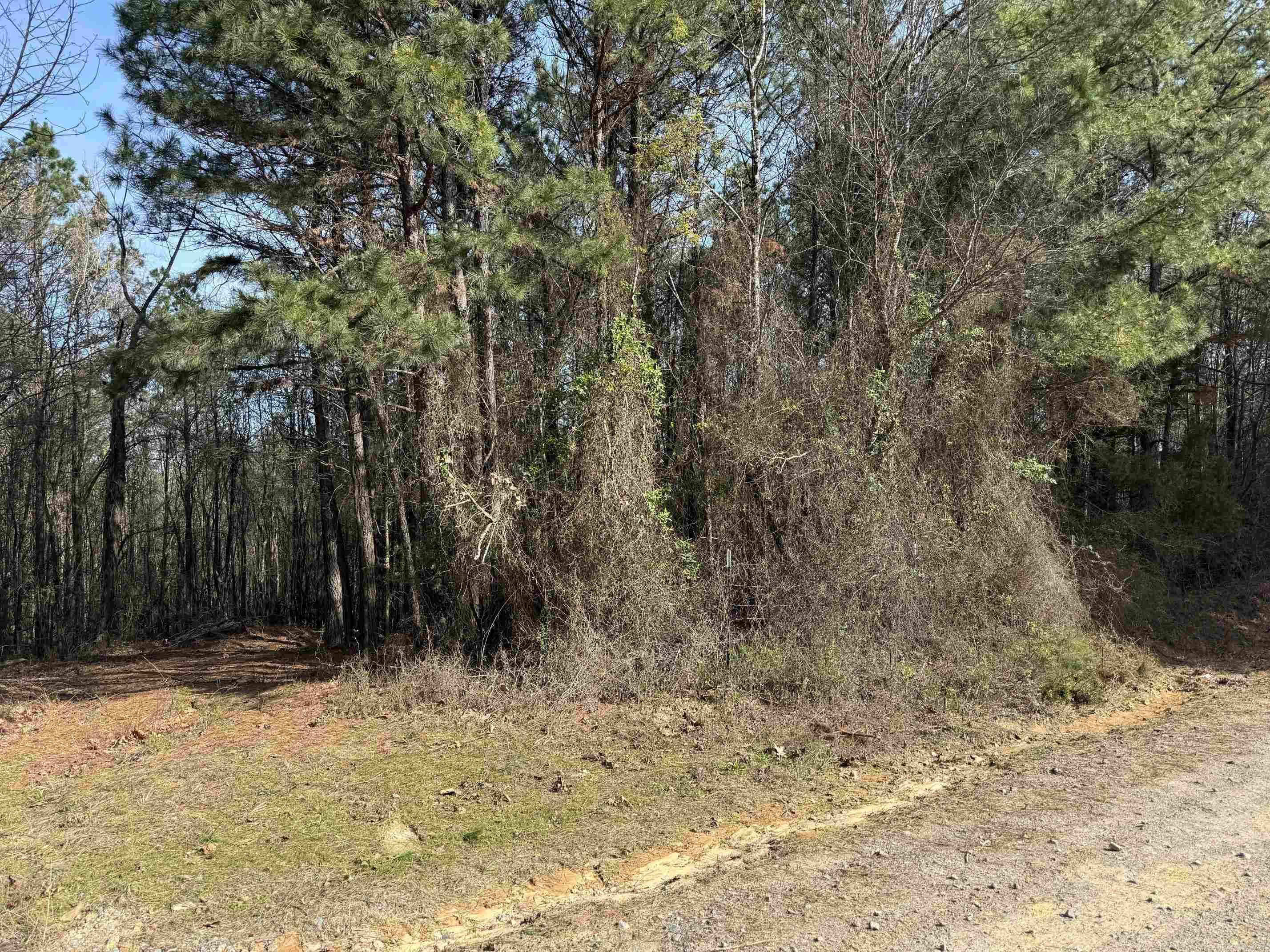 Tbd Polk Road 13 Property Photo 17
