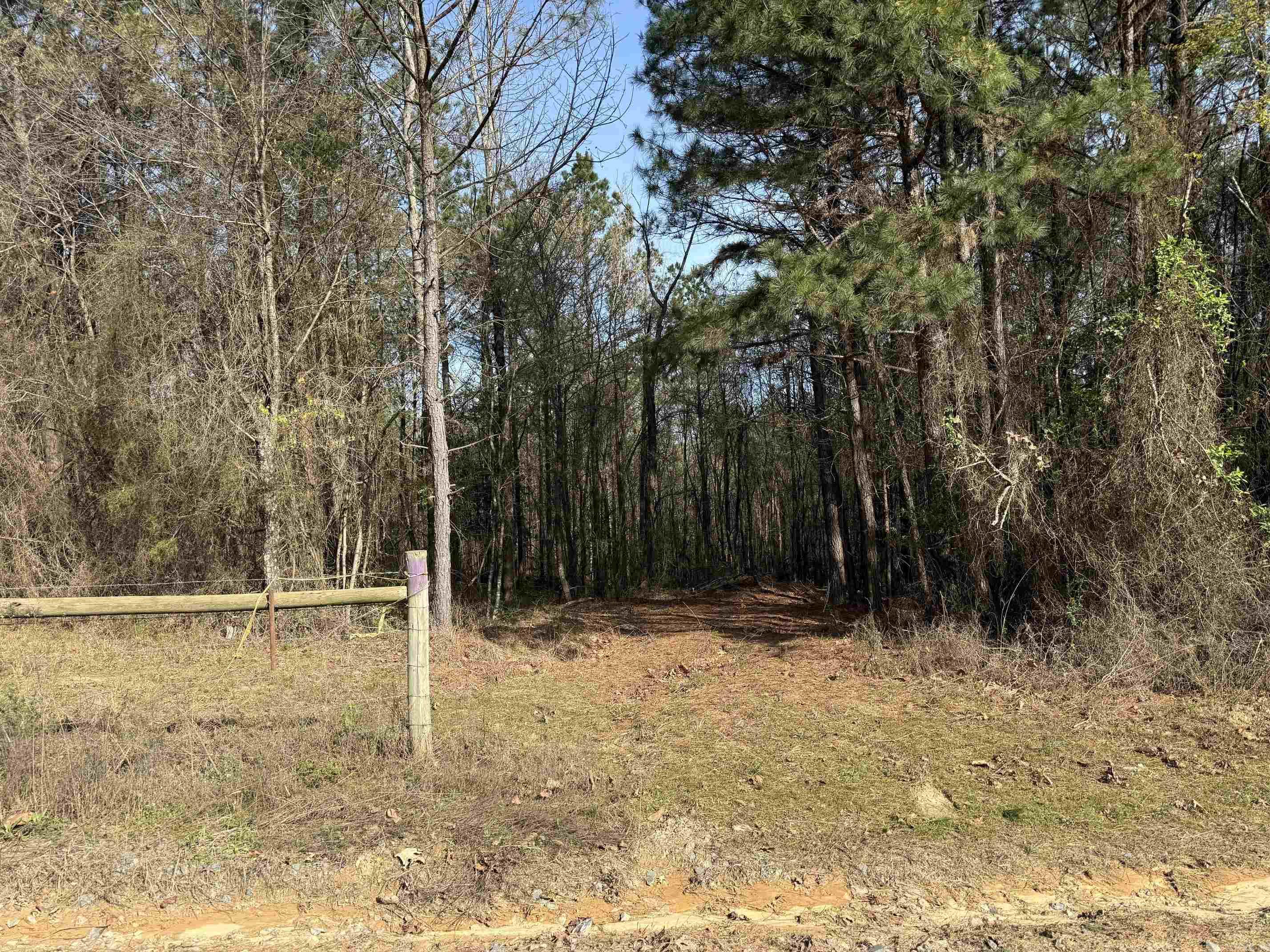 Tbd Polk Road 13 Property Photo 20