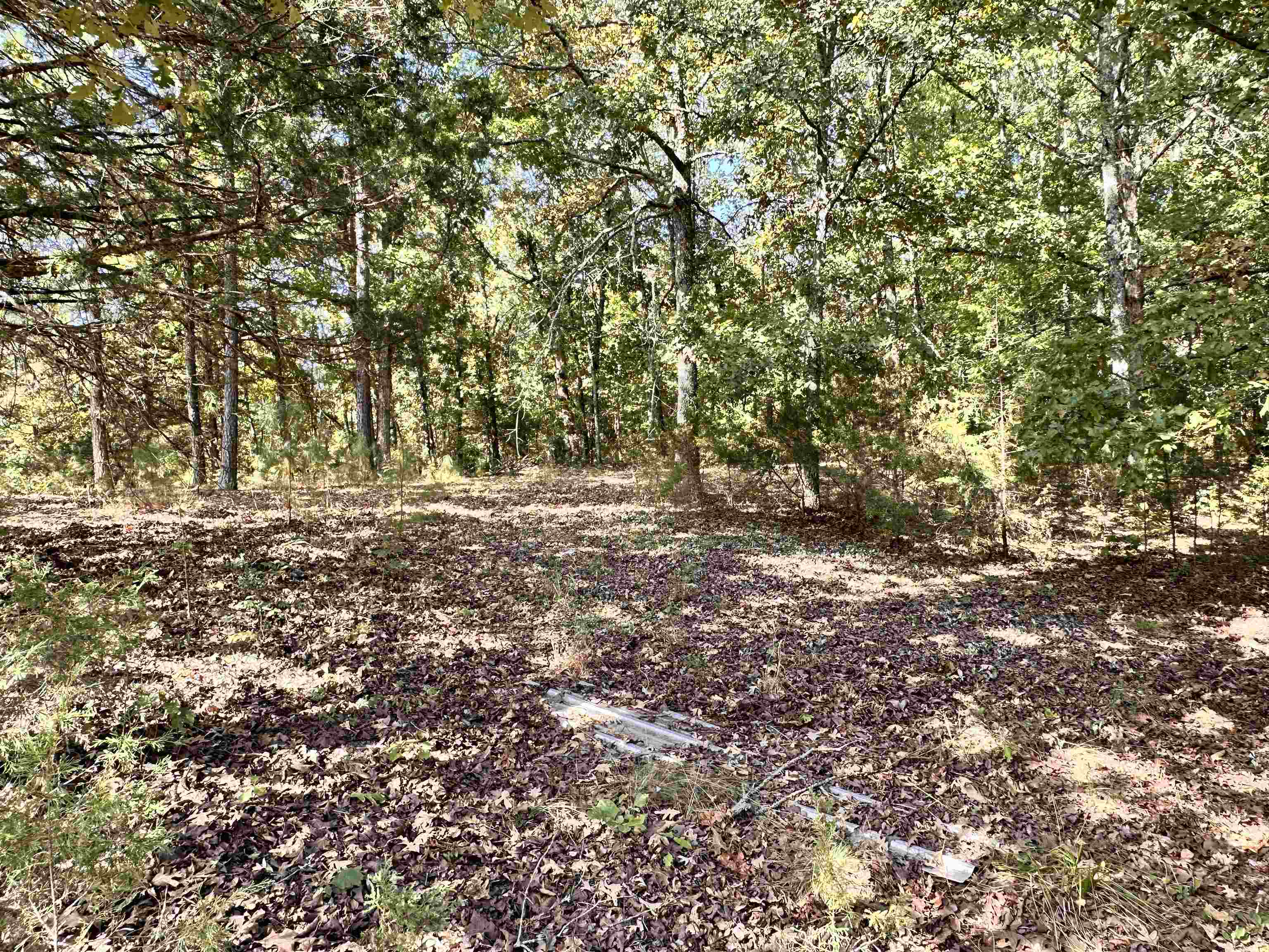 106 Edna Avenue Property Photo 4