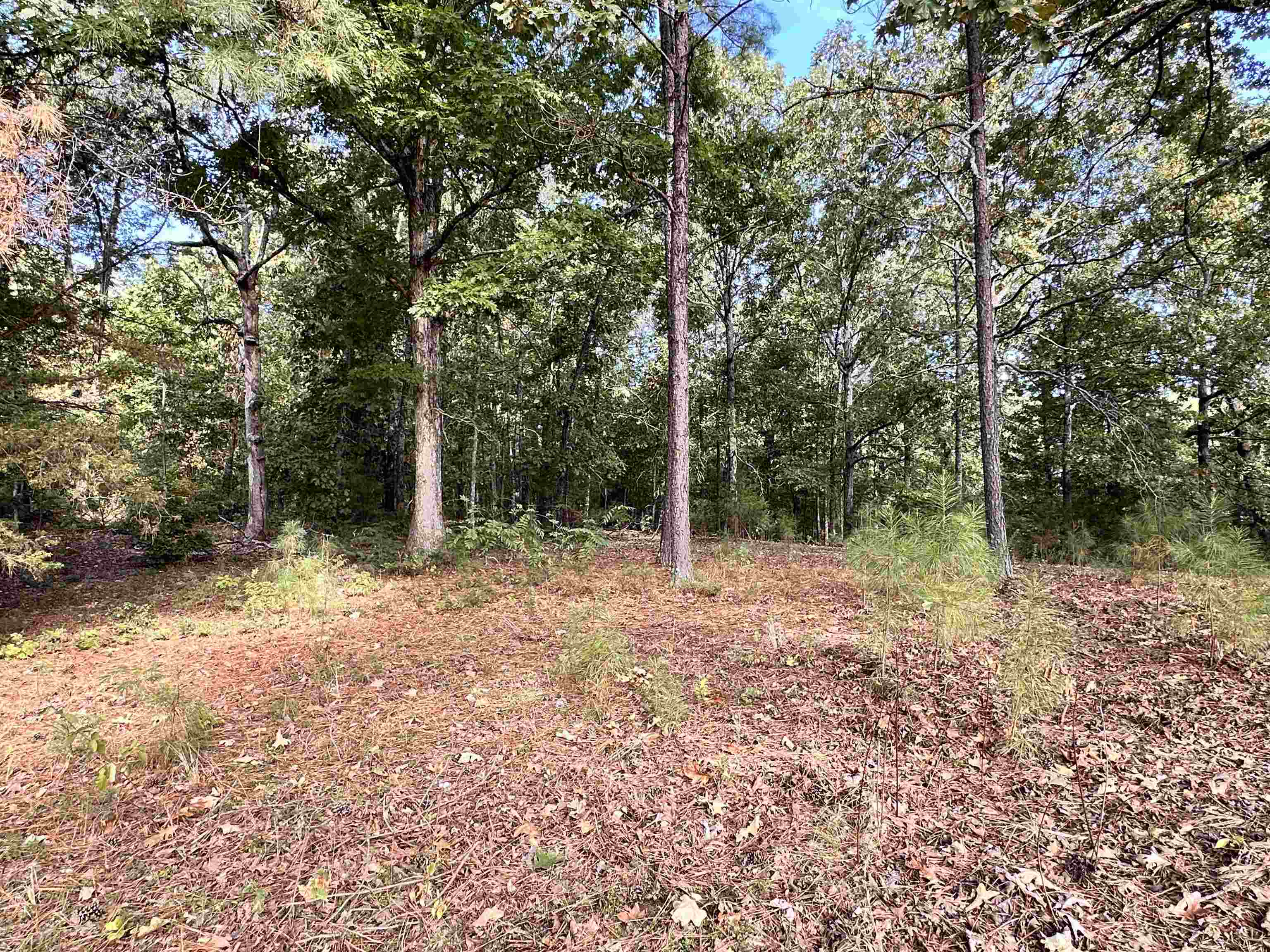 106 Edna Avenue Property Photo 28