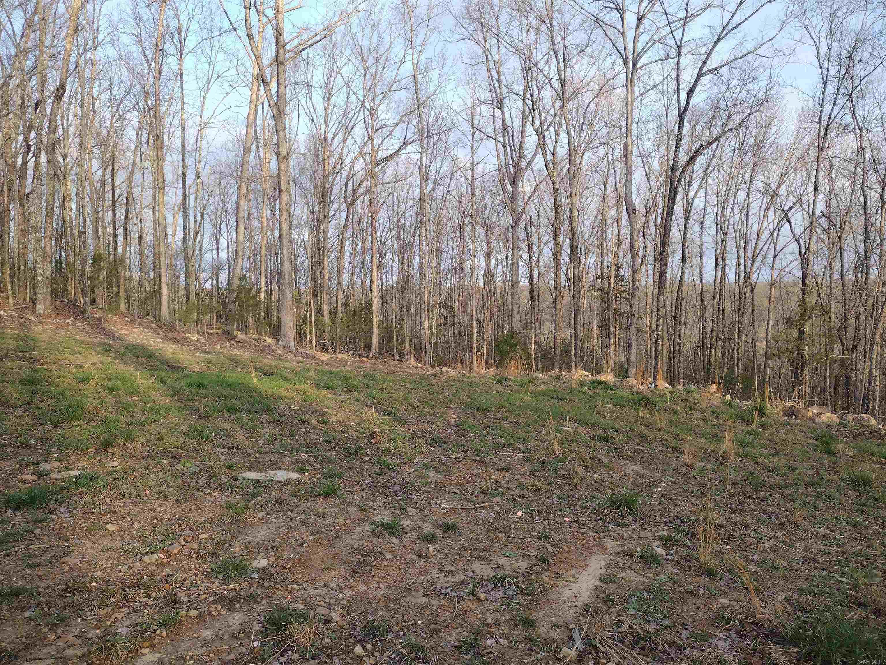 Tract 2 Alamo Dr Property Photo 19
