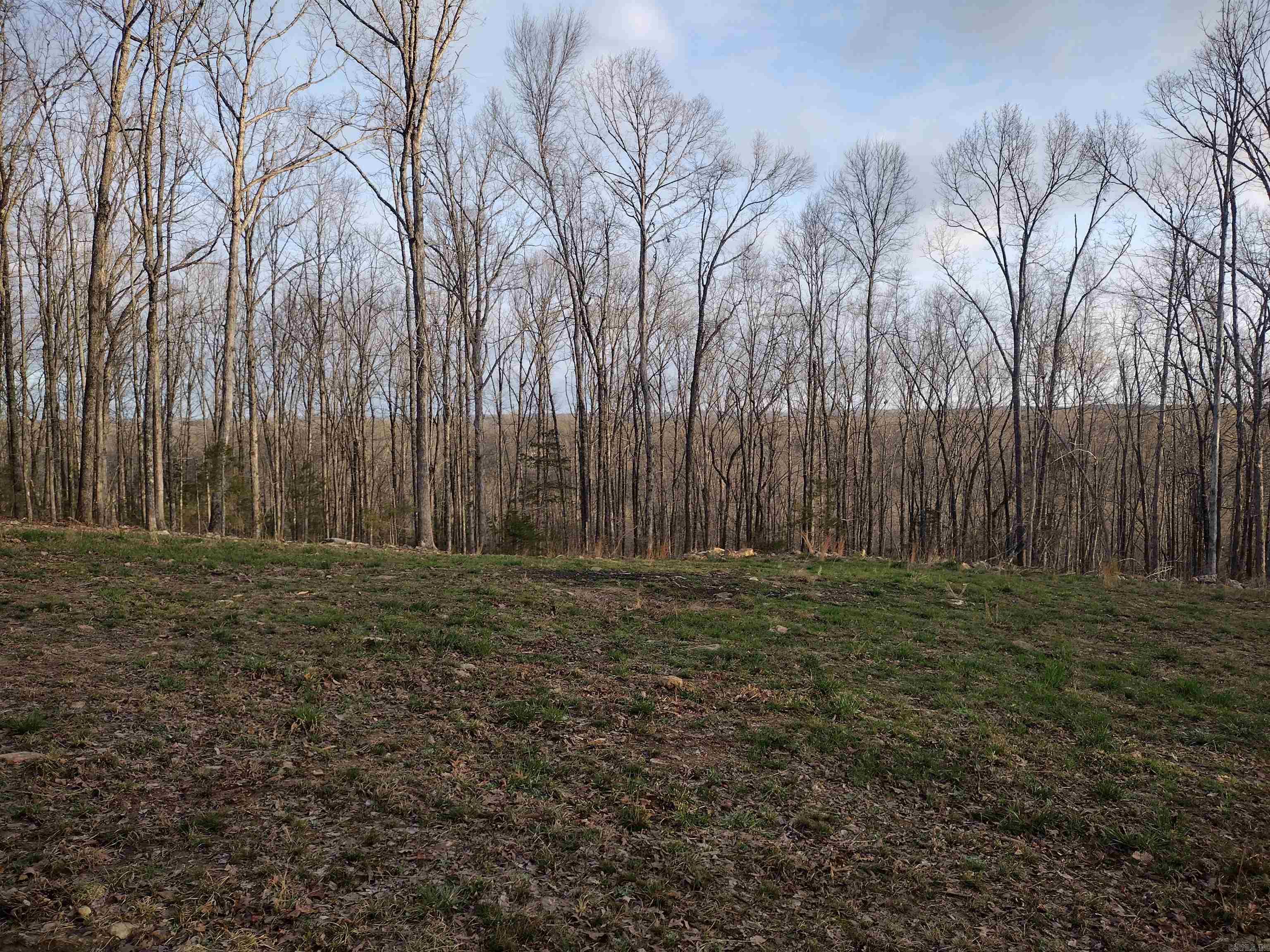 Tract 2 Alamo Dr Property Photo 20