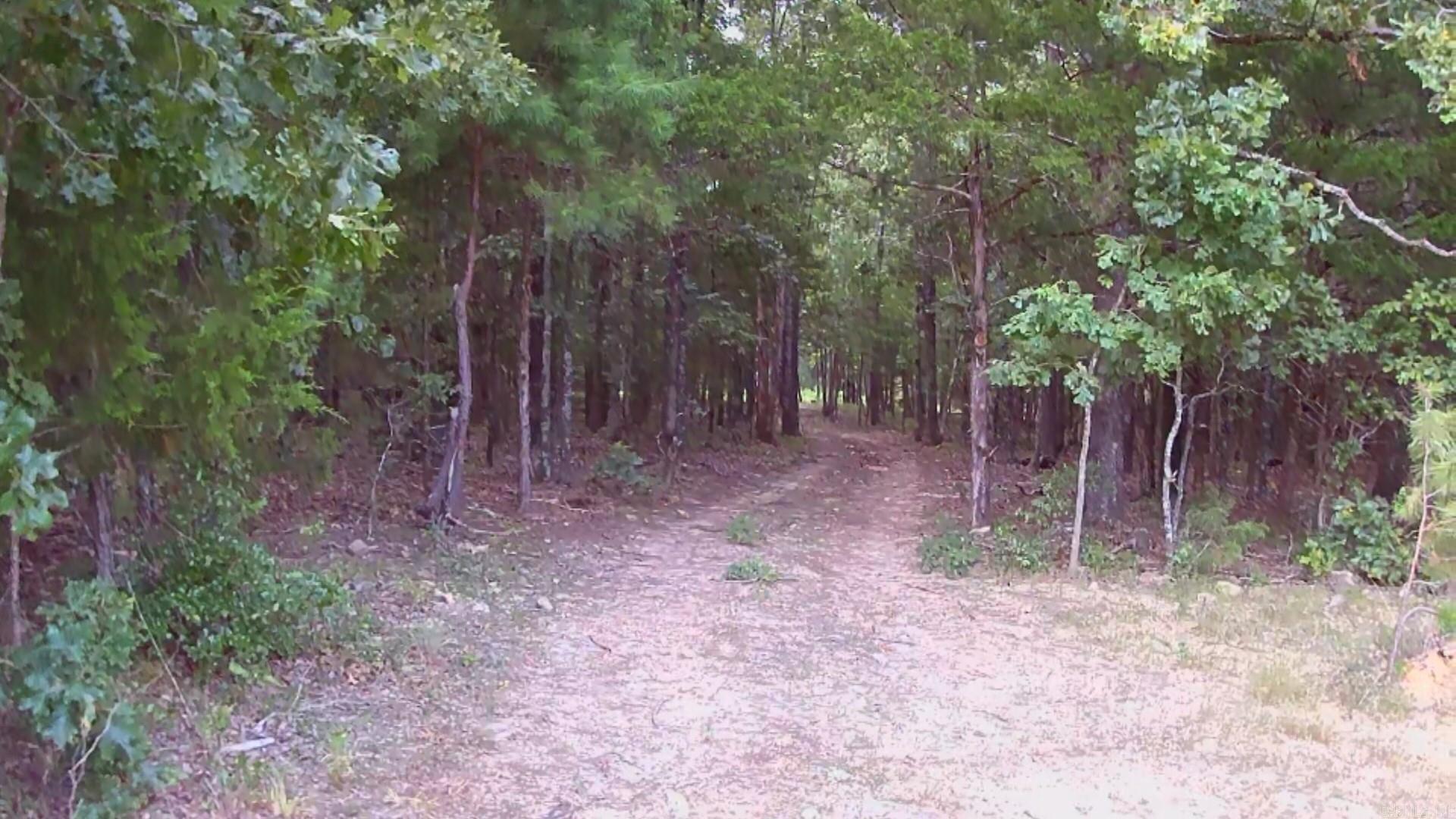 Tract 2 Alamo Dr Property Photo 30