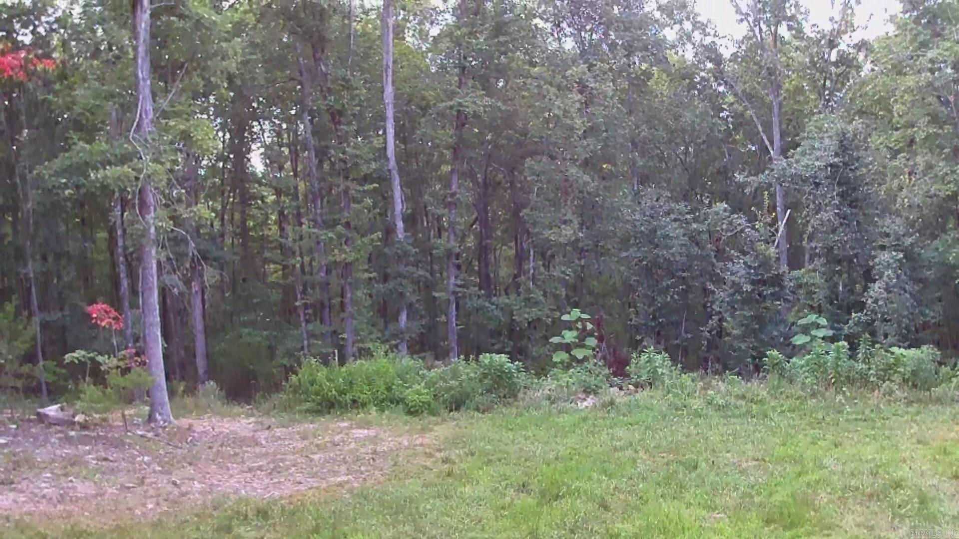 Tract 2 Alamo Dr Property Photo 34