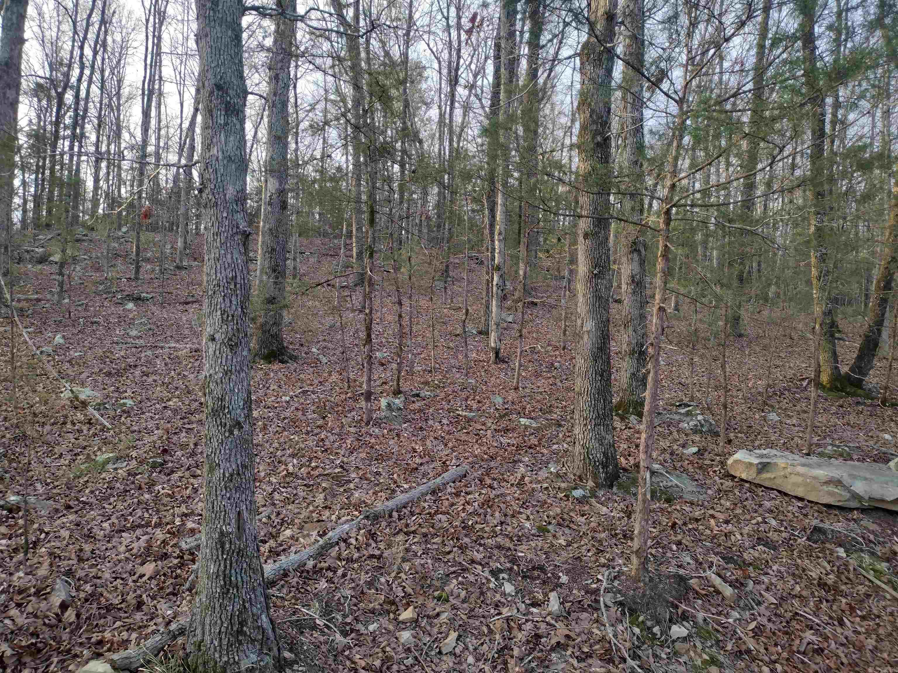Tract 1 Alamo Dr Property Photo 16