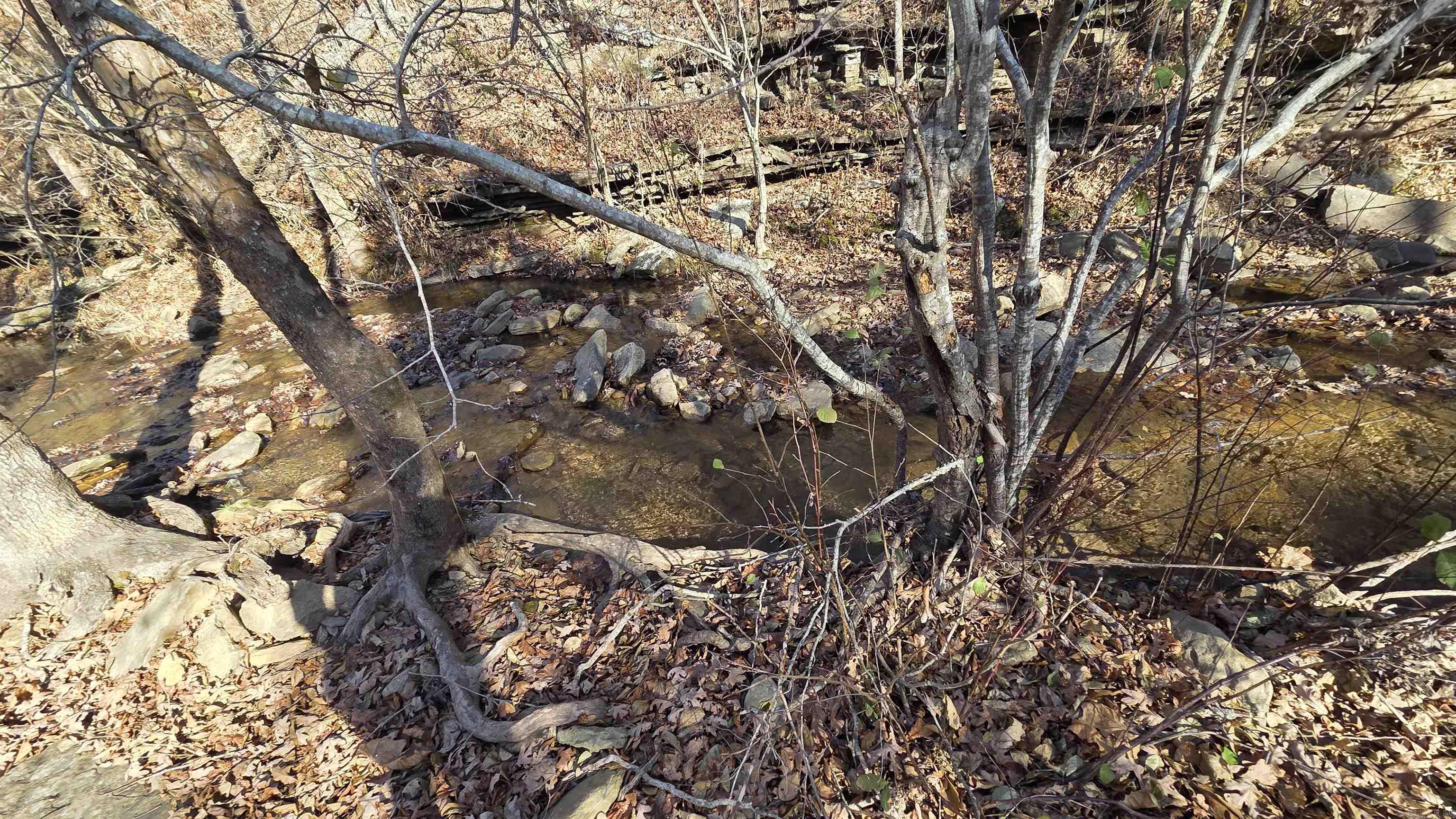 510 Good Spur Road Property Photo 15