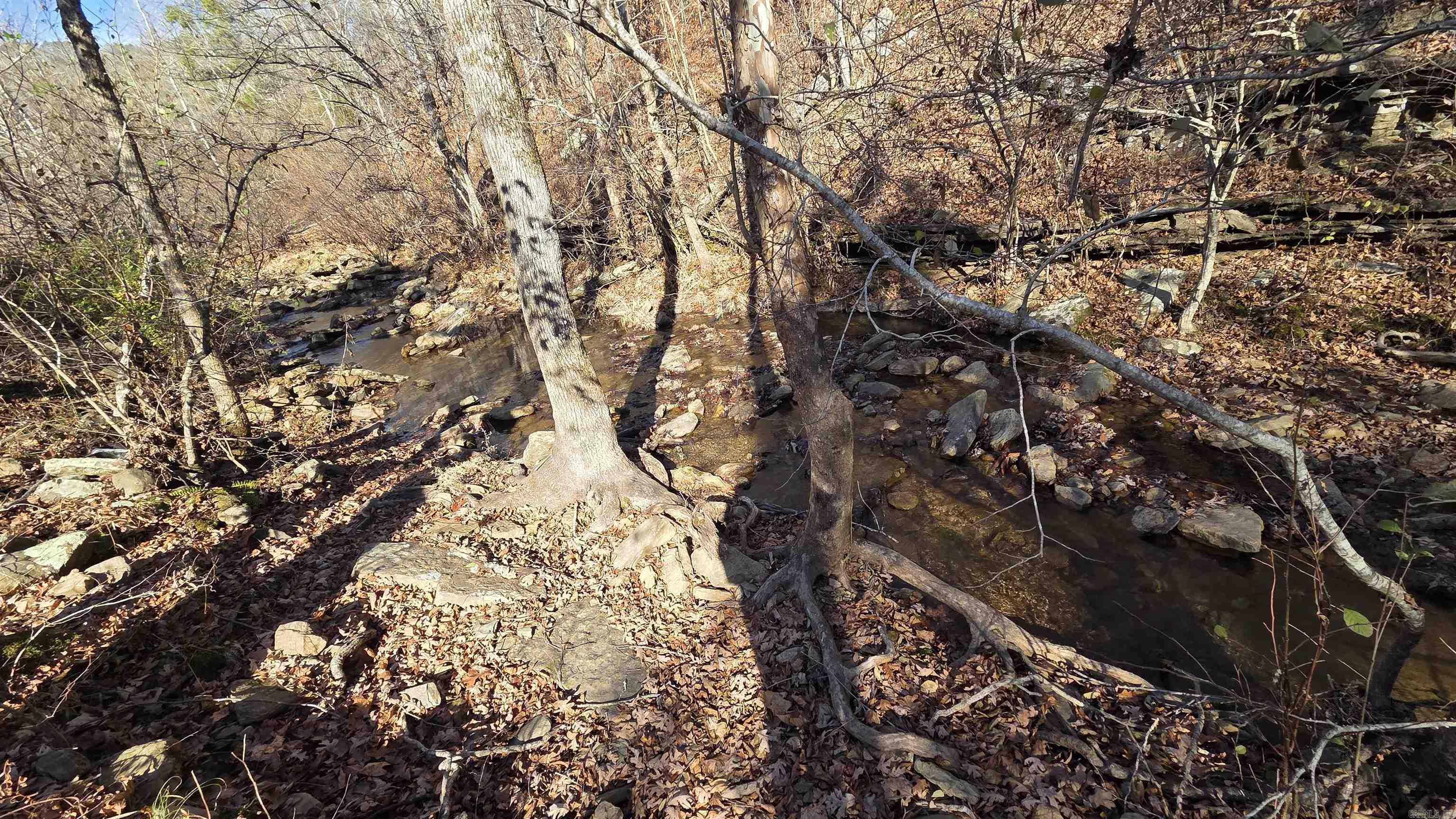 510 Good Spur Road Property Photo 18