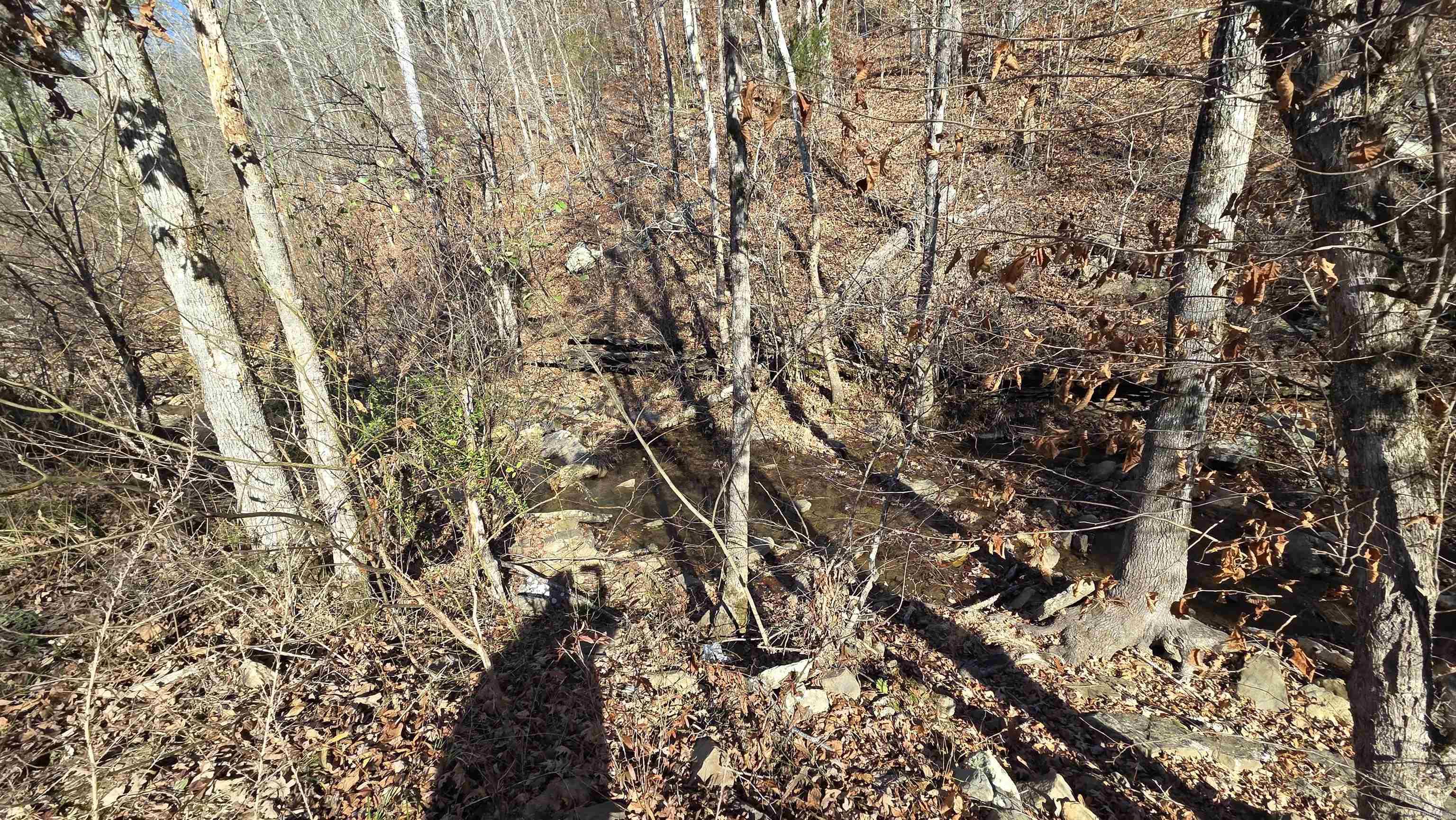 510 Good Spur Road Property Photo 19