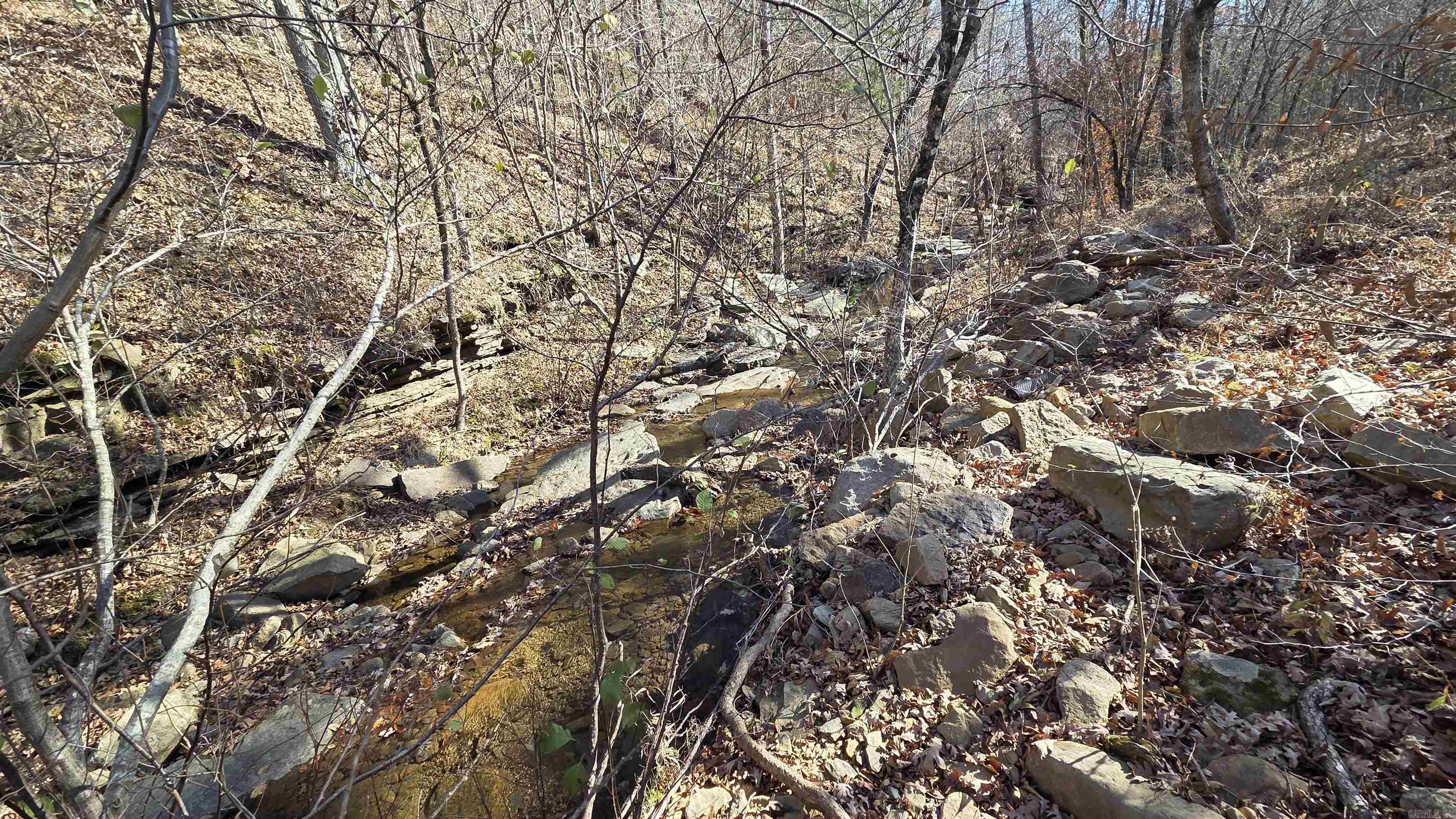 510 Good Spur Road Property Photo 22