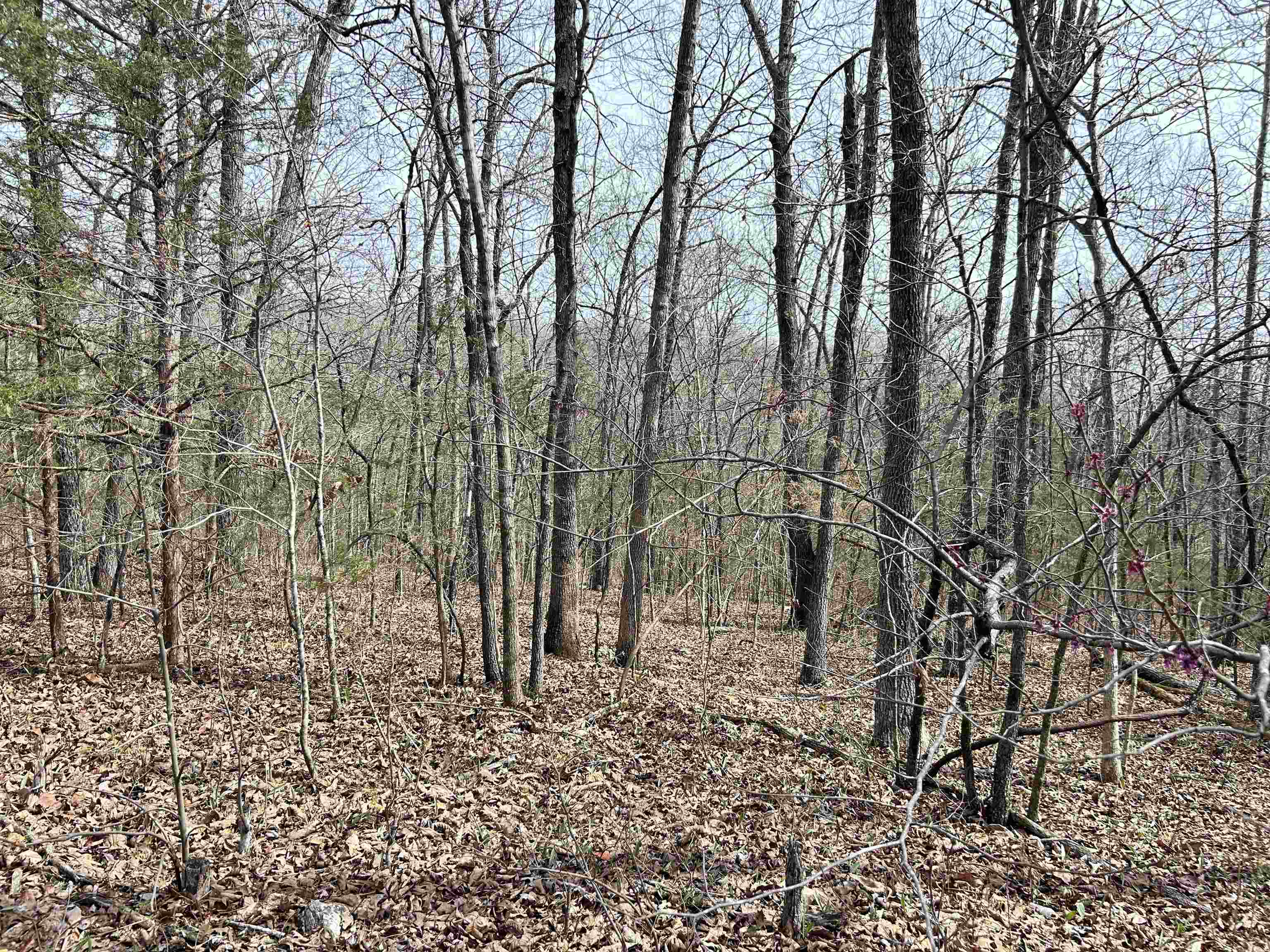 Tbd Giles Road Property Photo 1