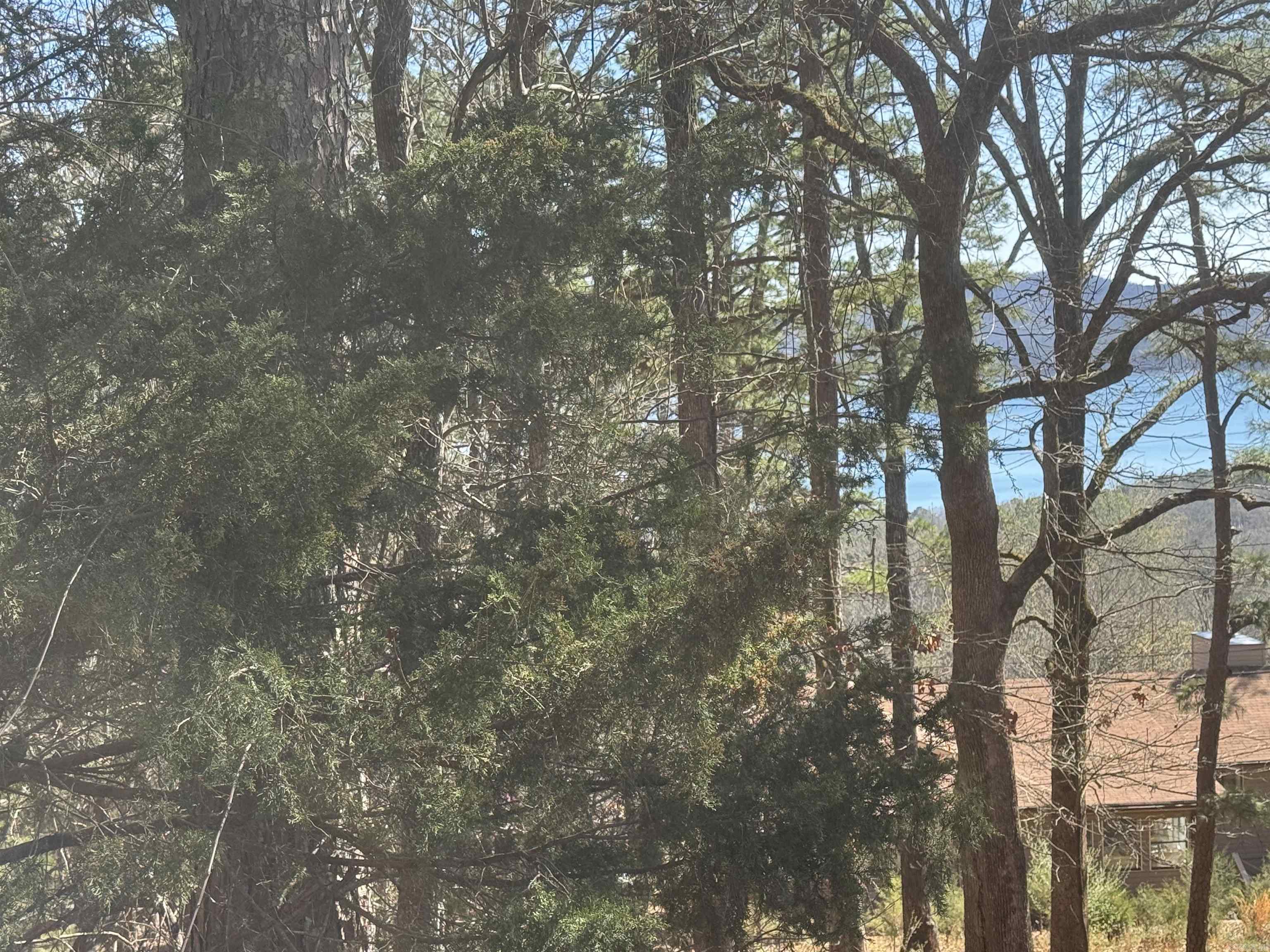 Lot 50 Lakeview Drive Property Photo 2