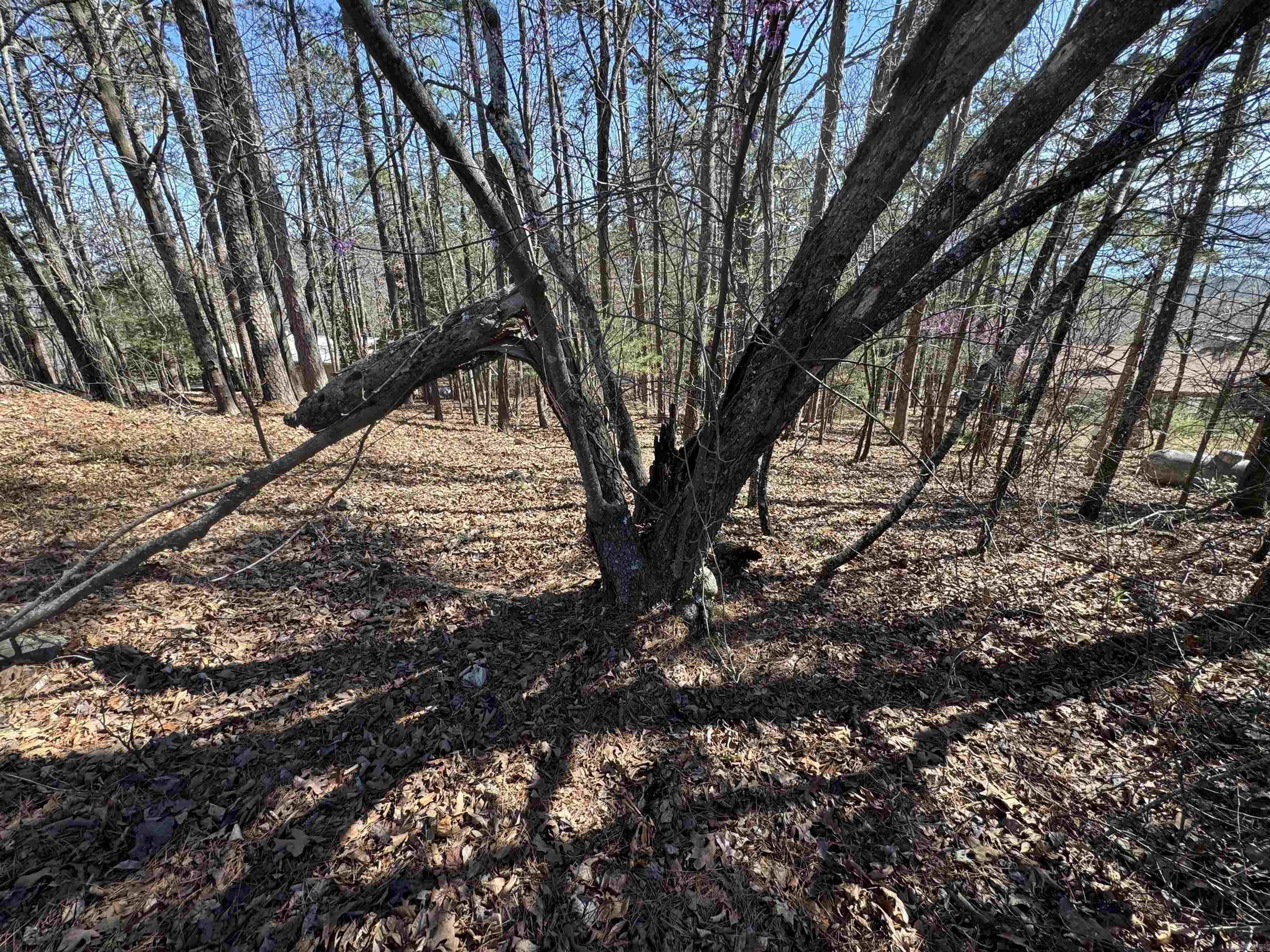 Lot 50 Lakeview Drive Property Photo 3