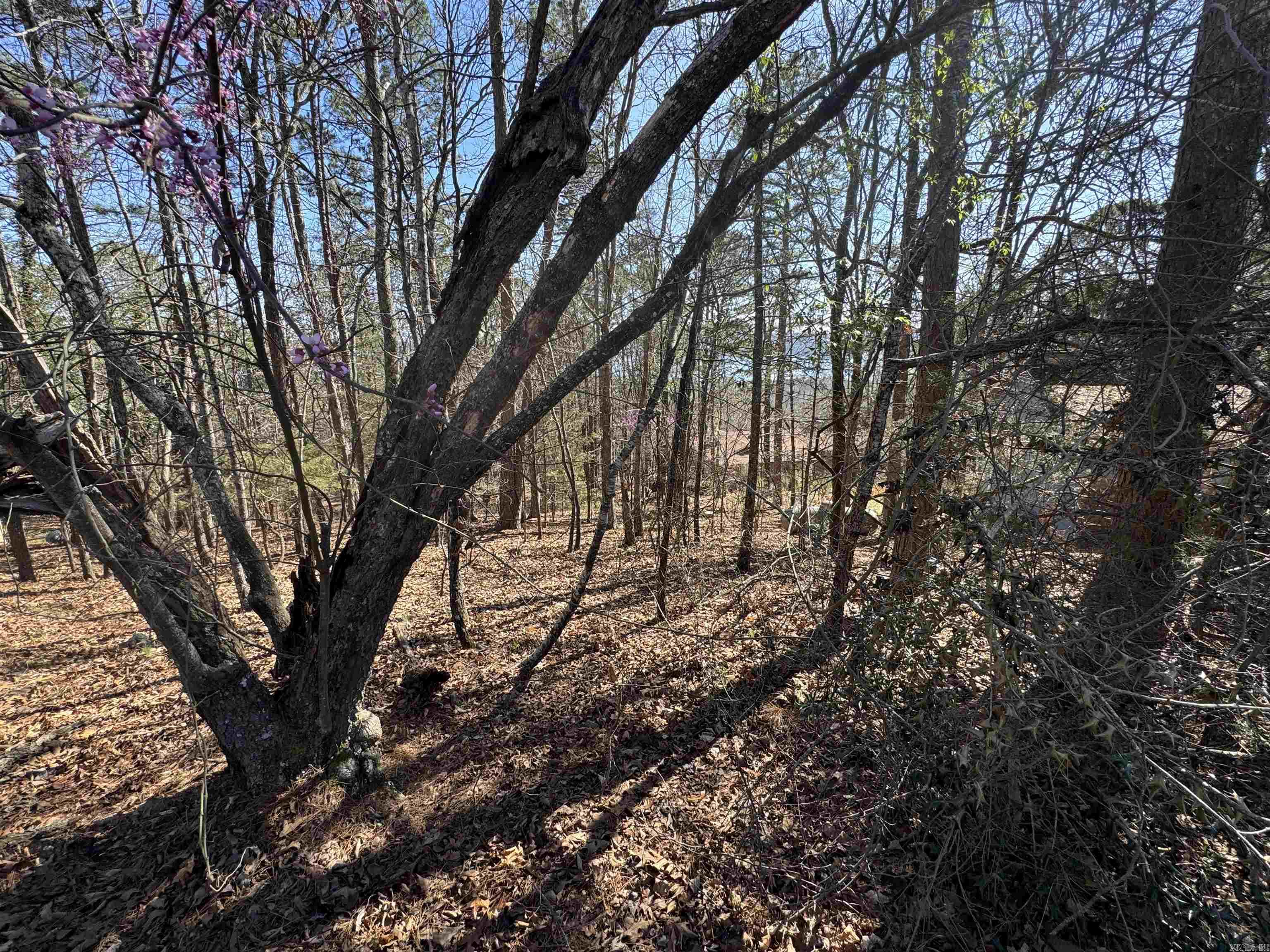 Lot 50 Lakeview Drive Property Photo 4