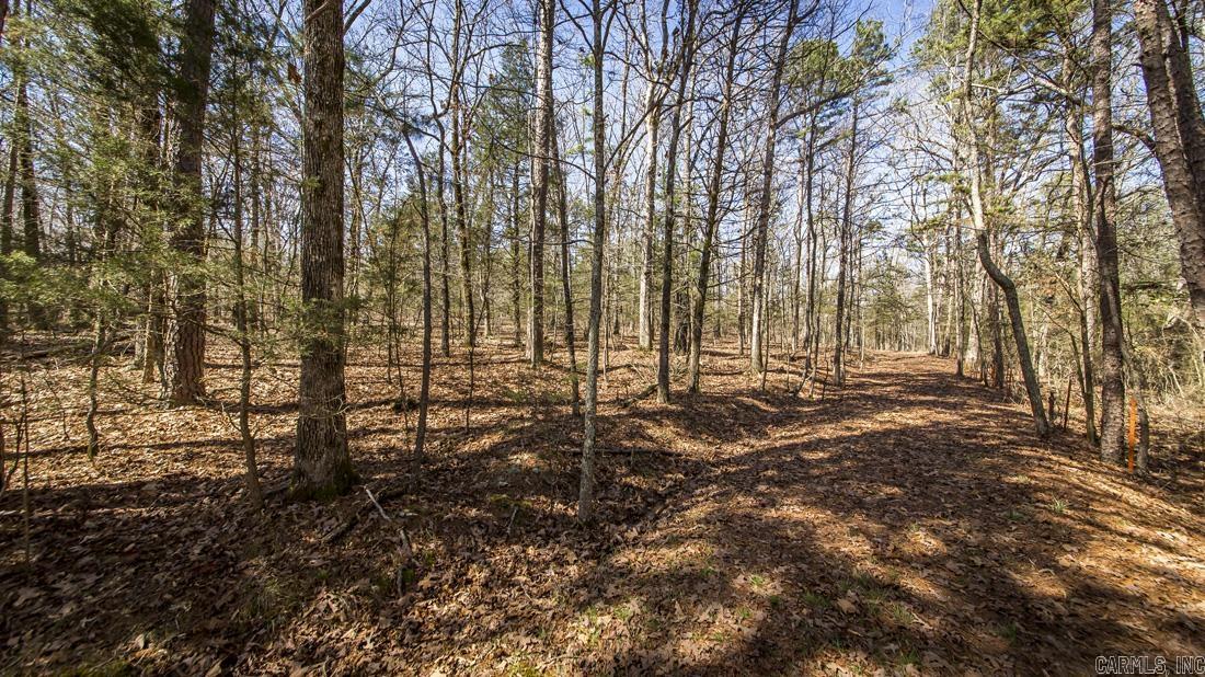 0 Whipporwill Lane Property Photo 1