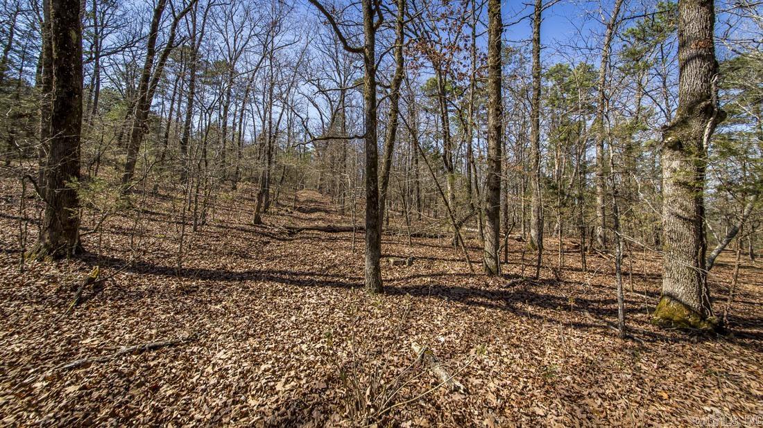 0 Whipporwill Lane Property Photo 3