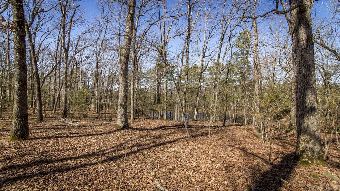 0 Whipporwill Lane Property Photo 12