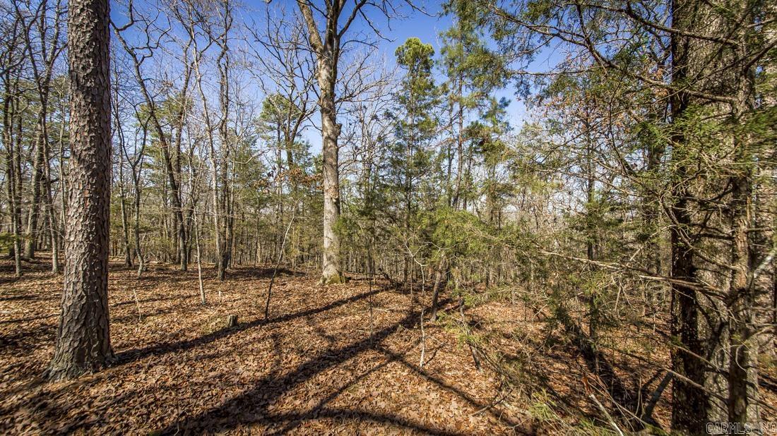 0 Whipporwill Lane Property Photo 14