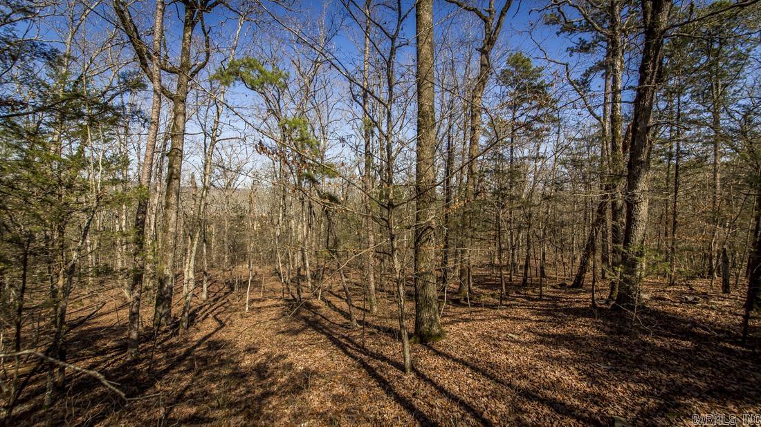 0 Whipporwill Lane Property Photo 16