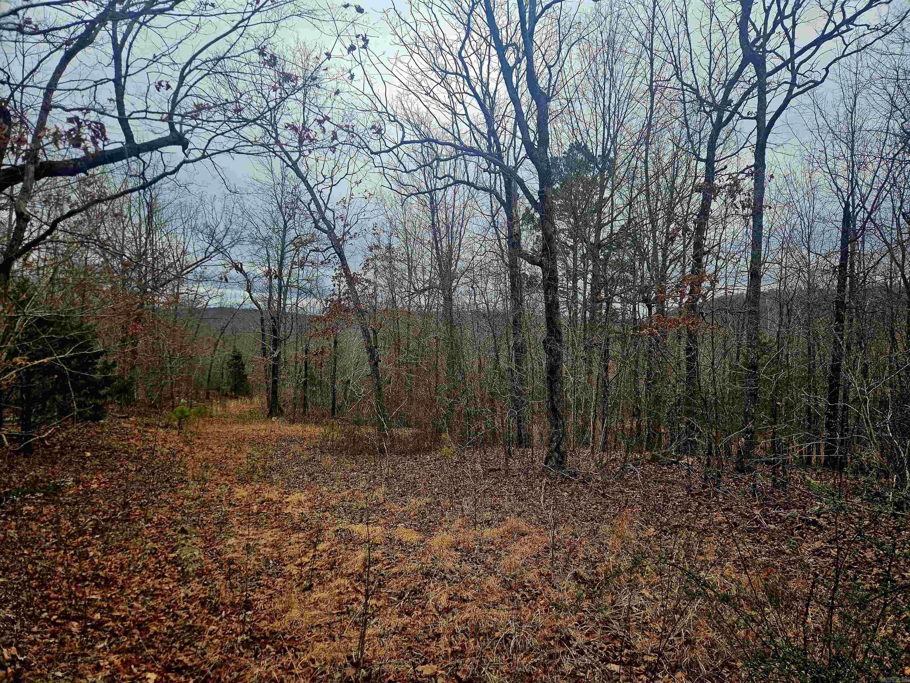 2726 Little Red River Road Property Photo 2