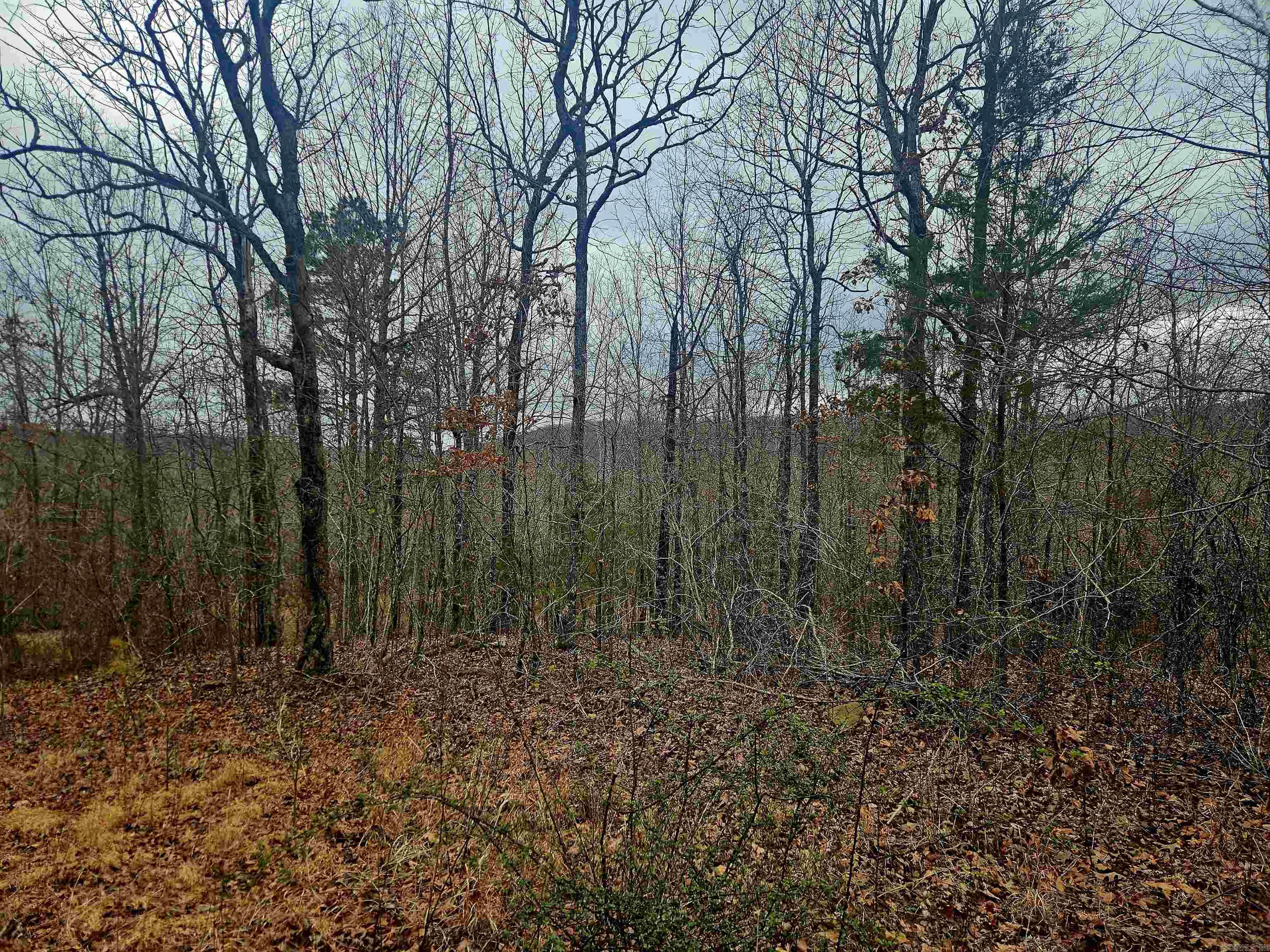 2726 Little Red River Road Property Photo 4