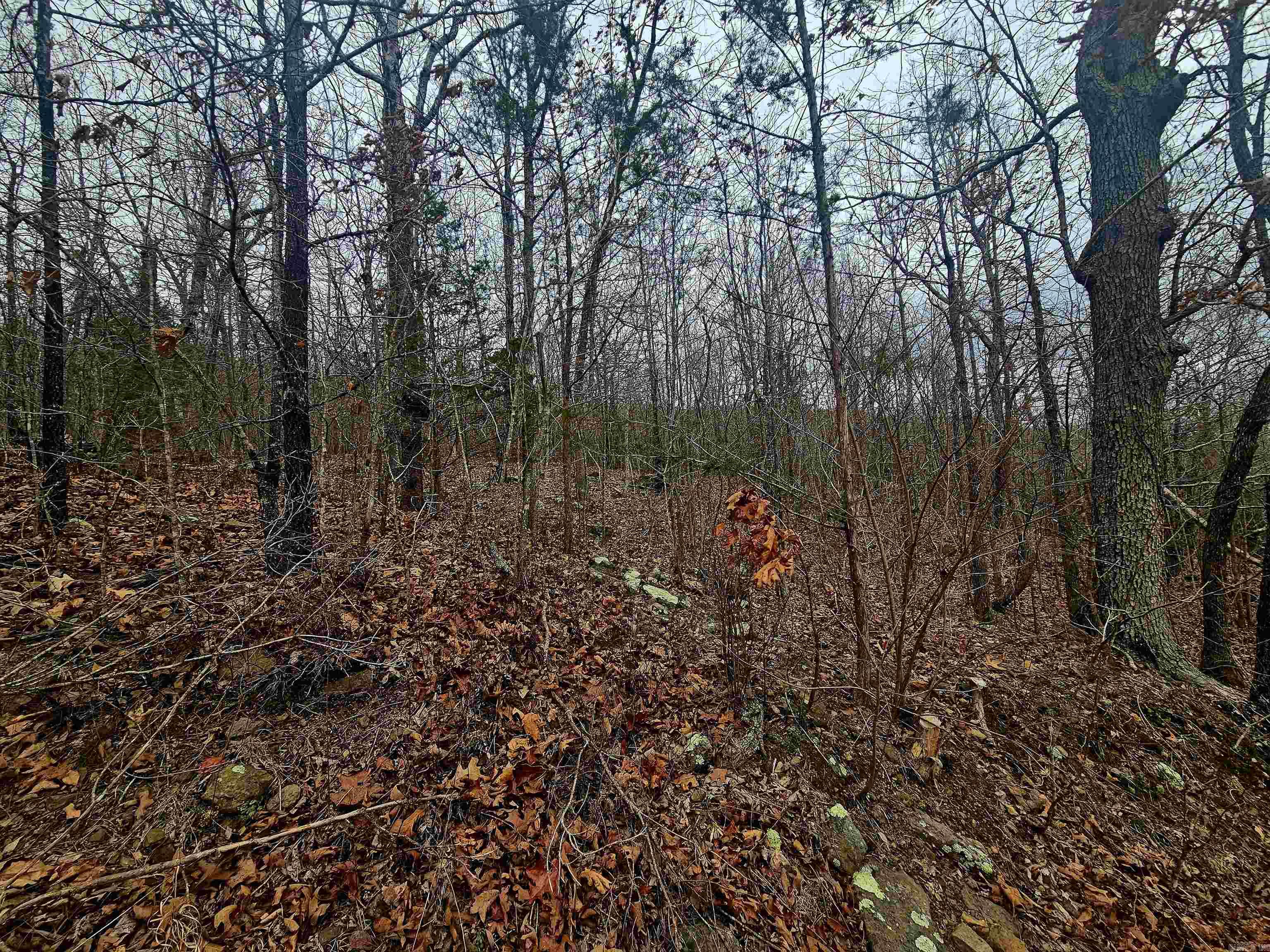 2726 Little Red River Road Property Photo 5