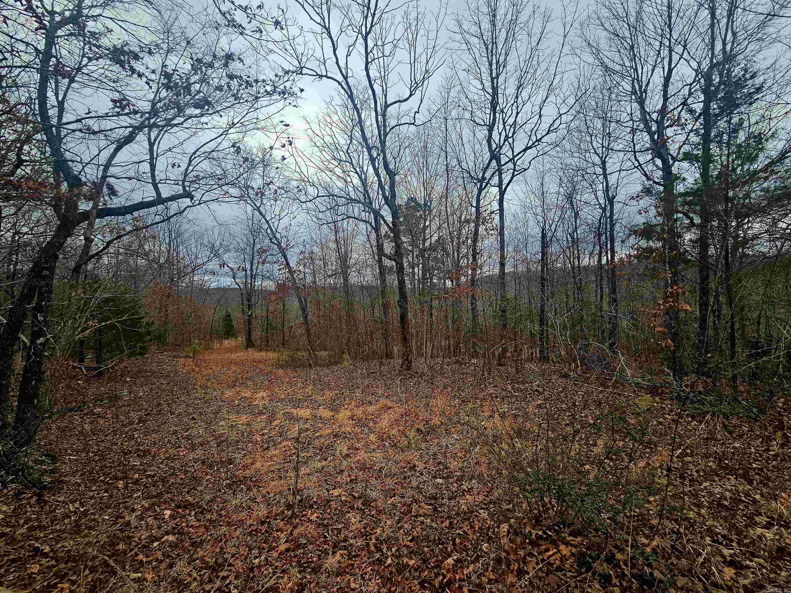 2726 Little Red River Road Property Photo 6