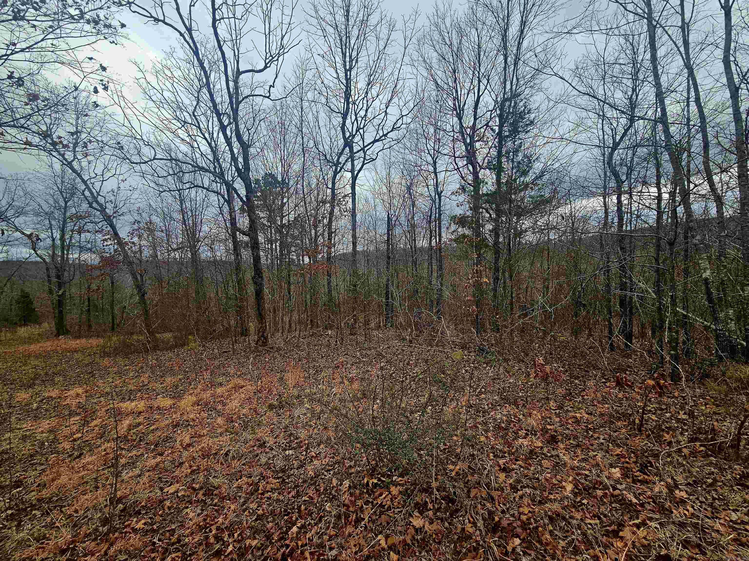 2726 Little Red River Road Property Photo 7